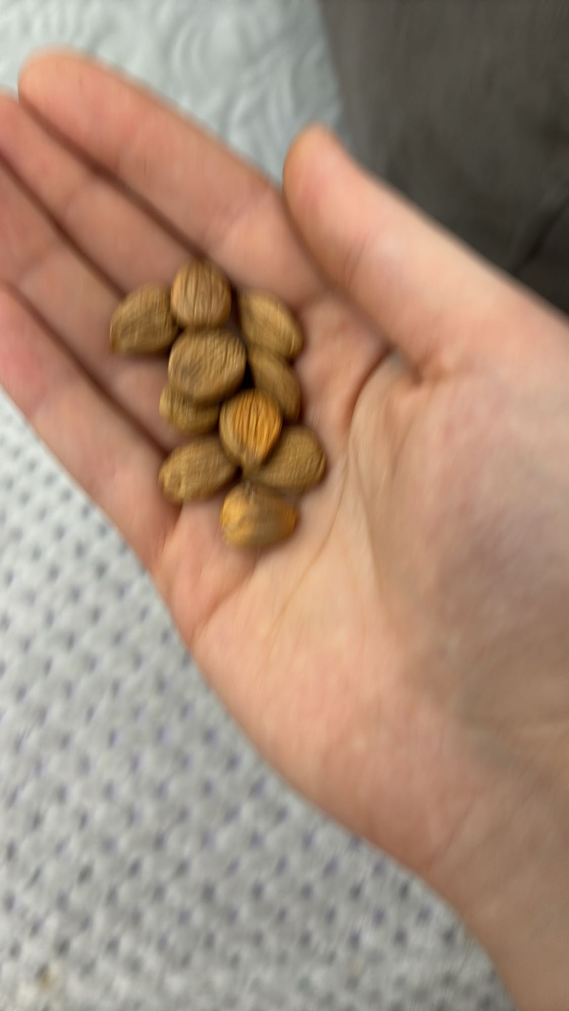 Handful of almonds
