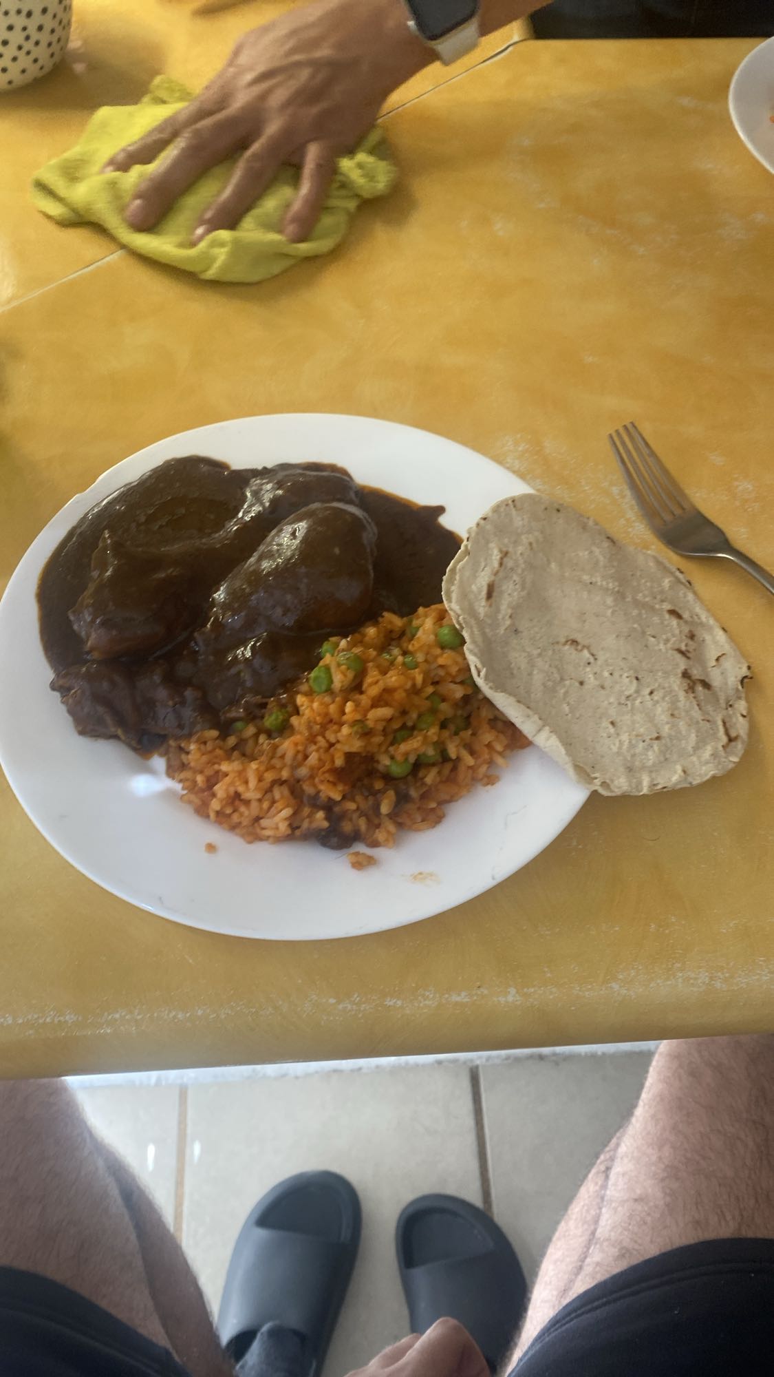 Pollo con mole y arroz