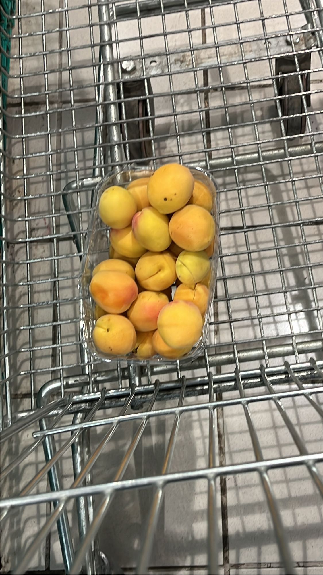 Fresh Apricots