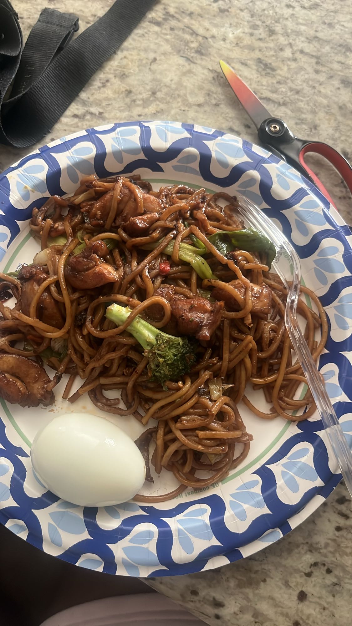 Chicken Lo Mein with Egg