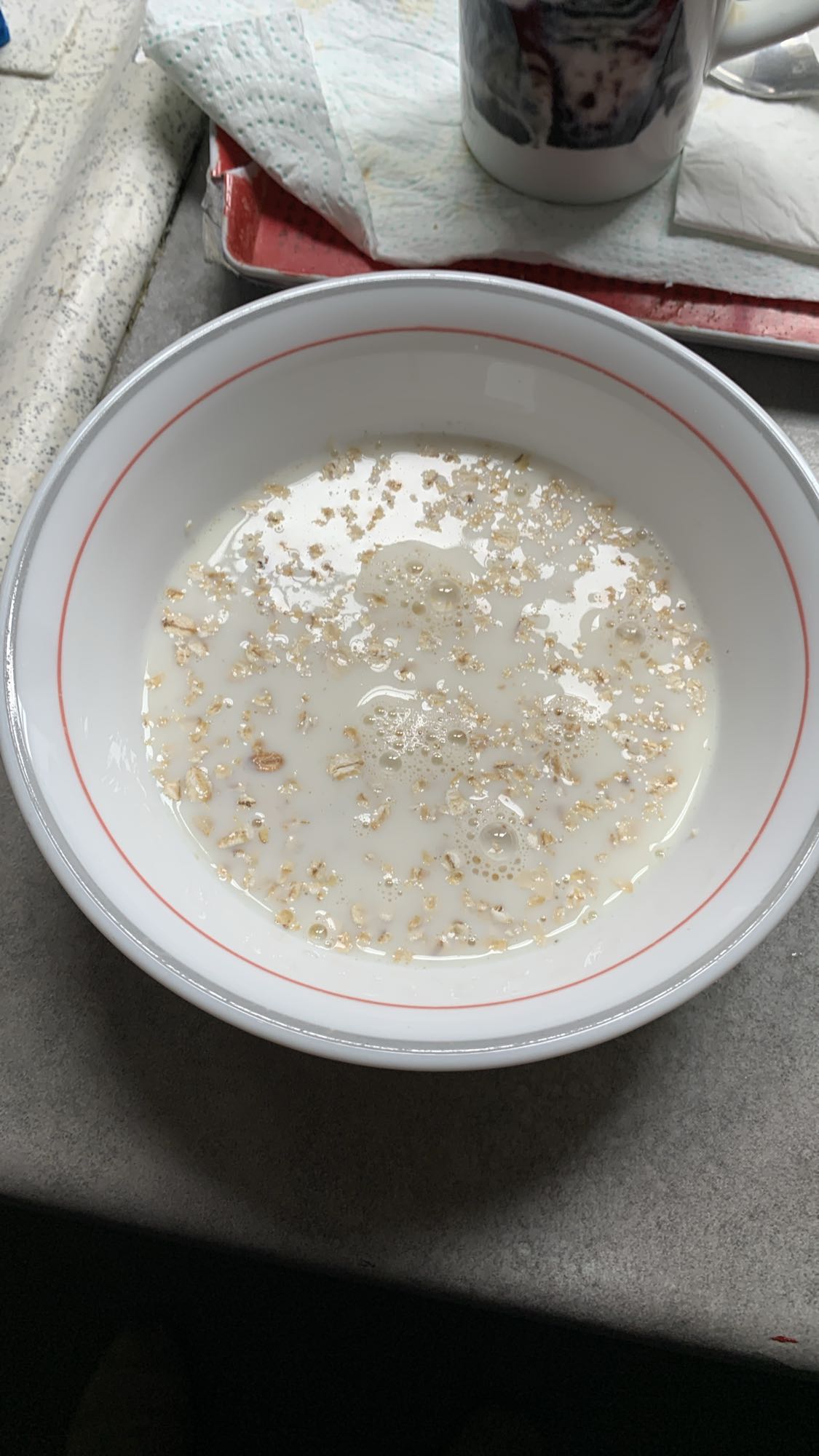 flocons d'avoine au lait