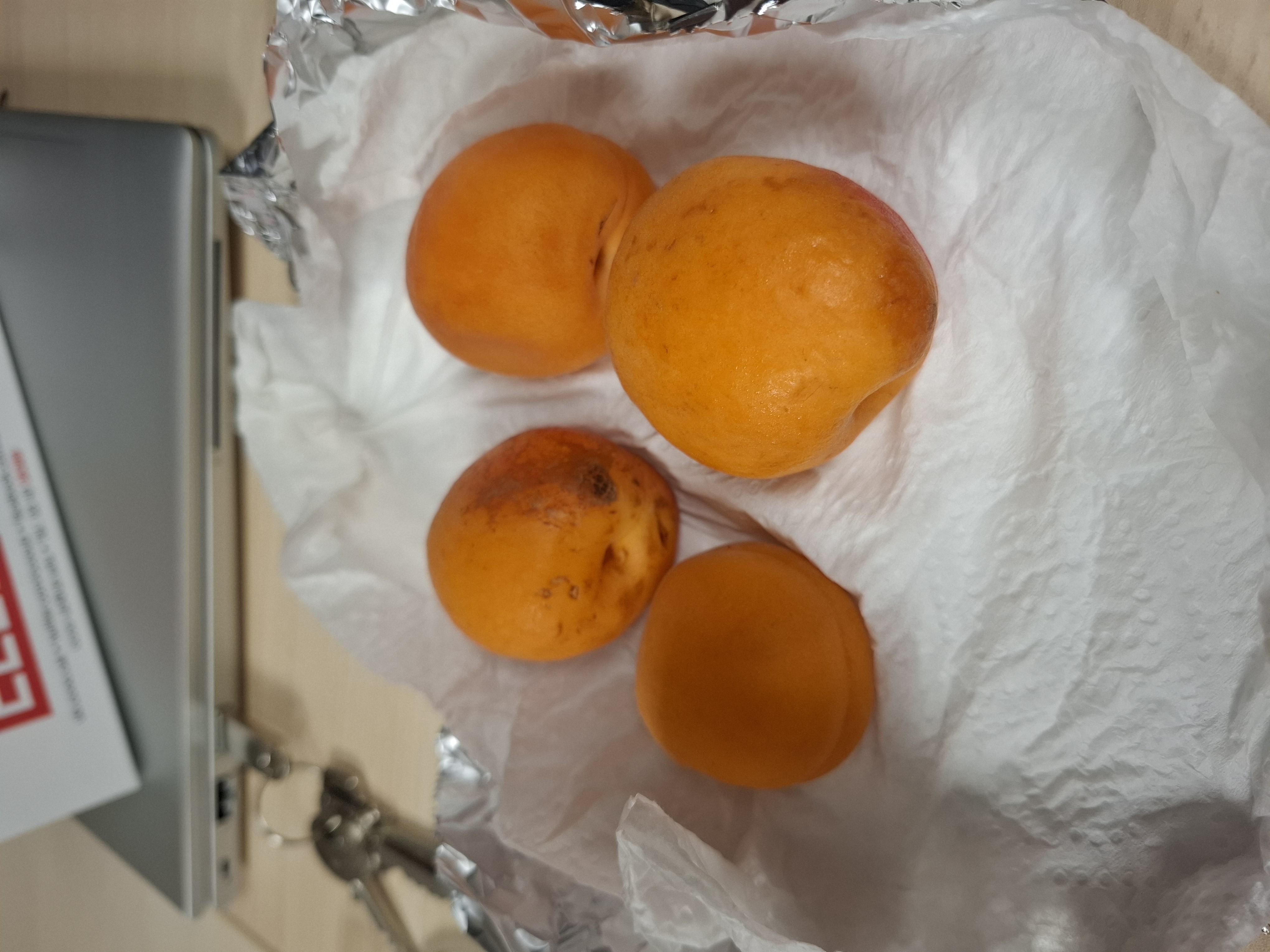 Albaricoques frescos