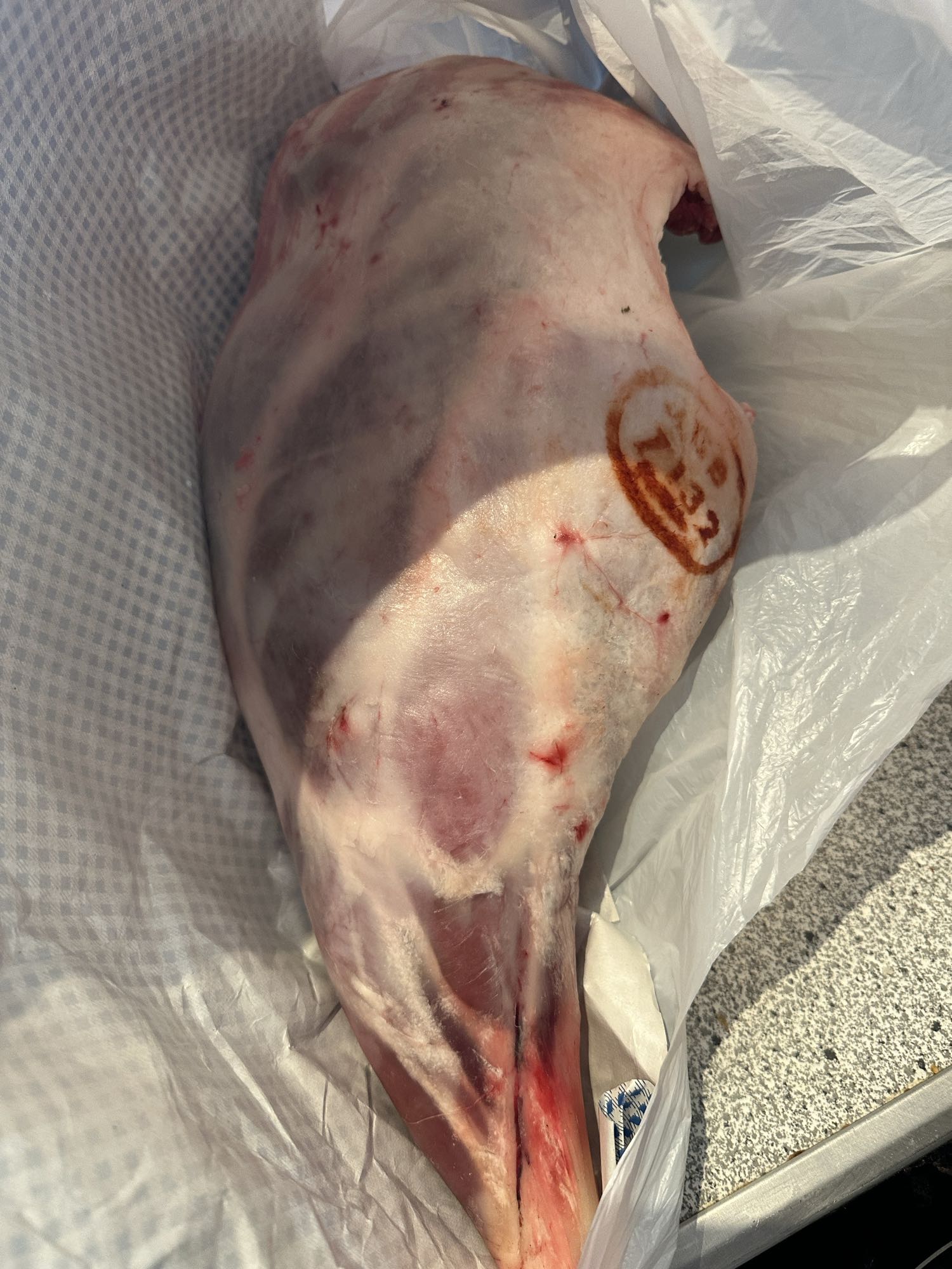 Raw Lamb Leg