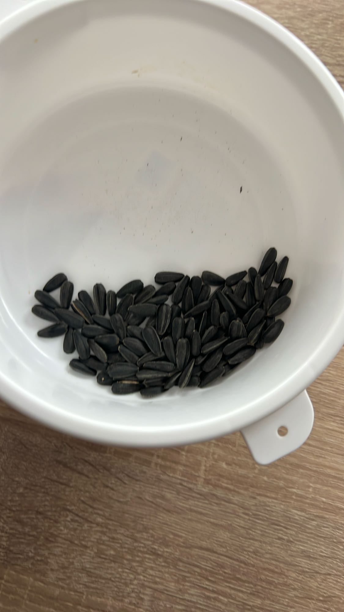 Semințe floarea-soarelui