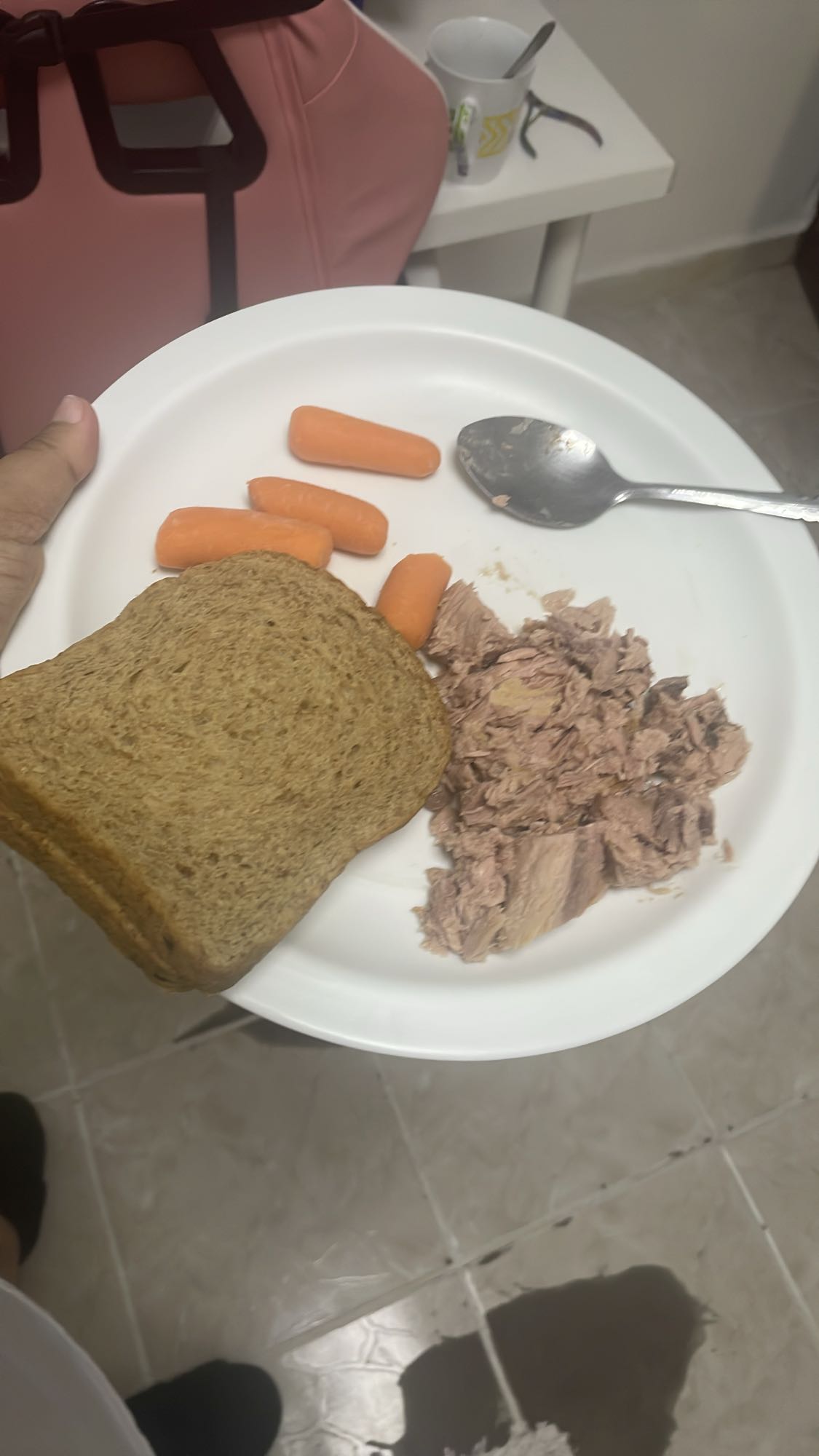 Atún con pan y zanahorias