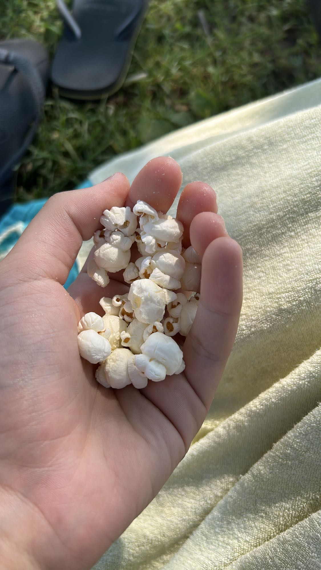 Handful of Popcorn