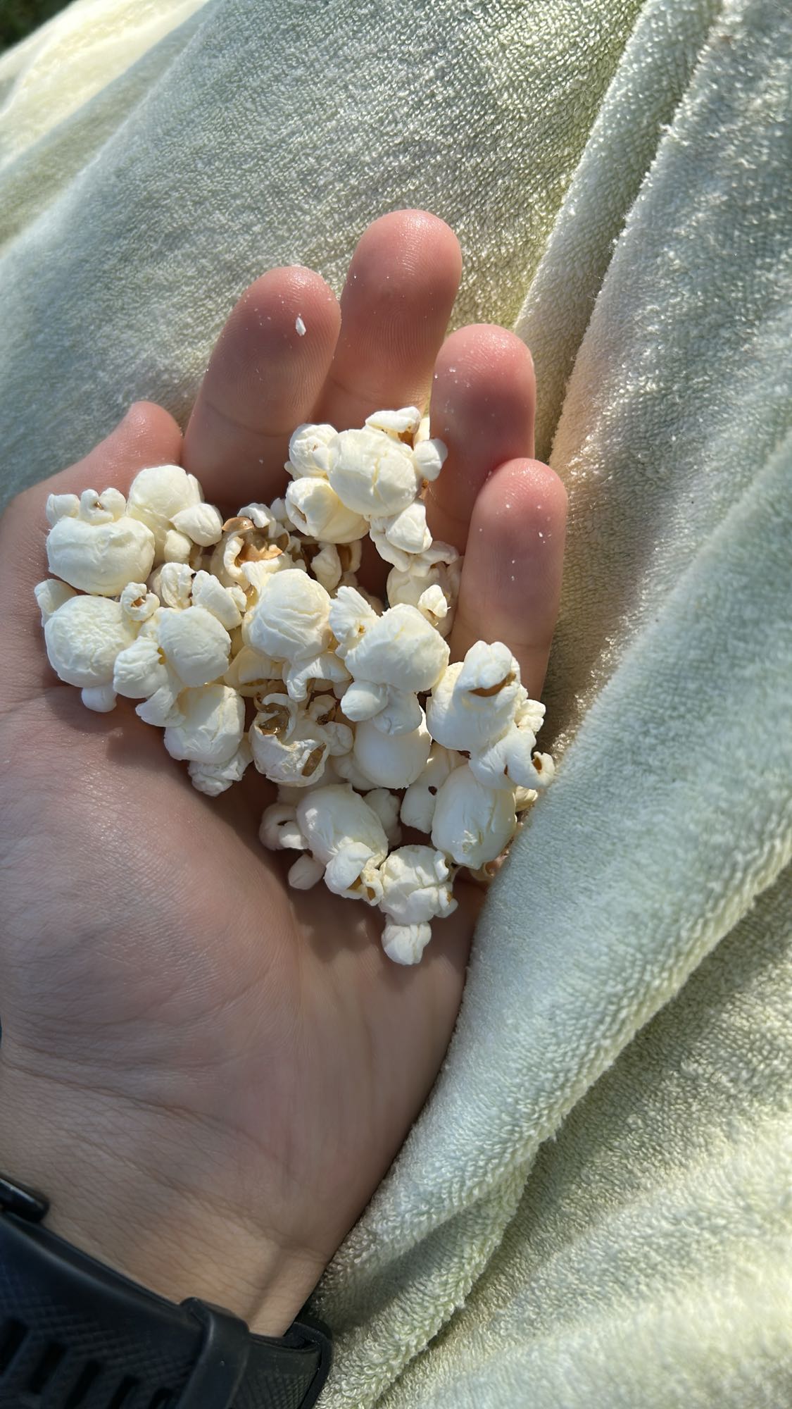 Handful of Popcorn
