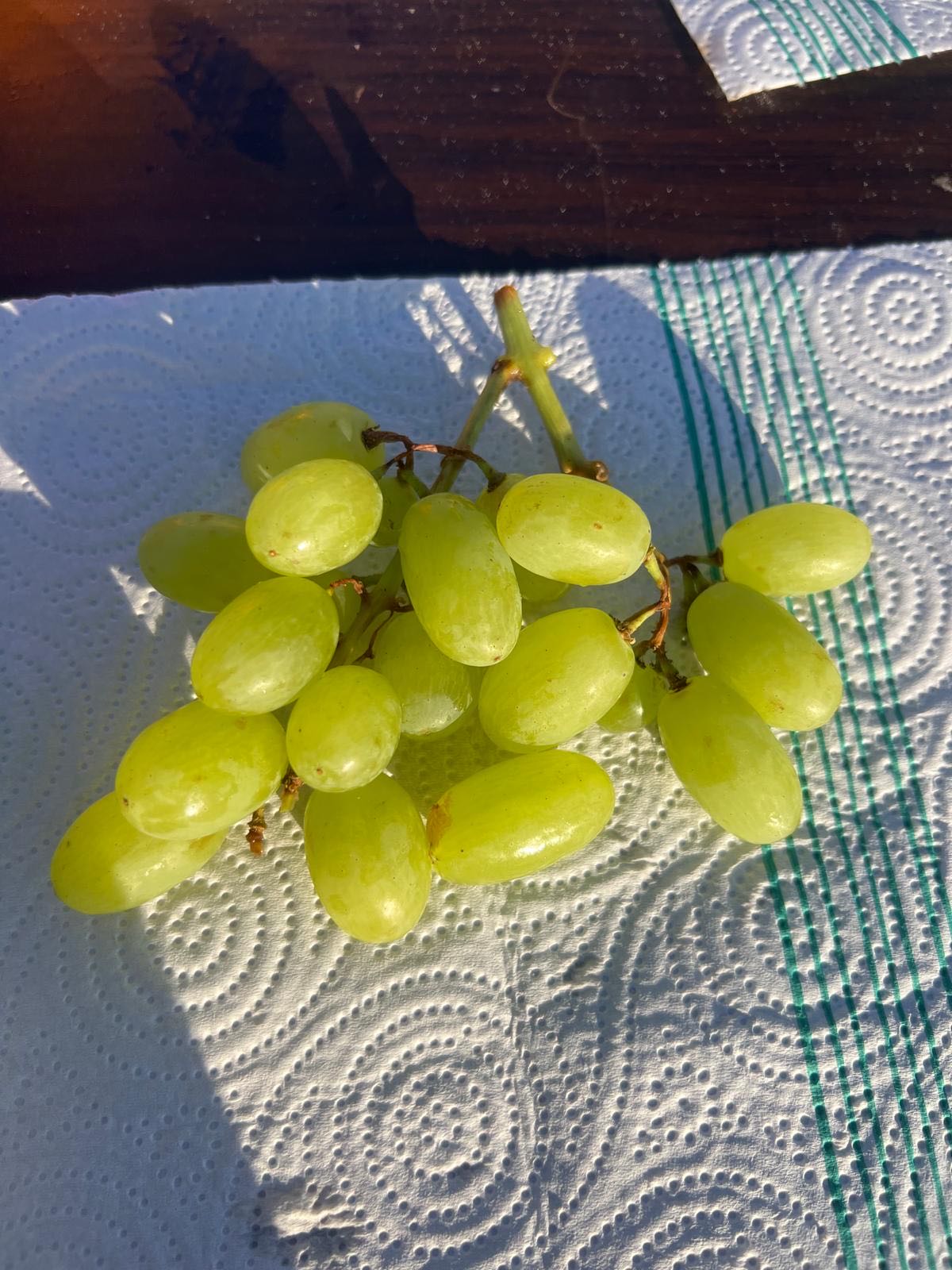 зелёный виноград