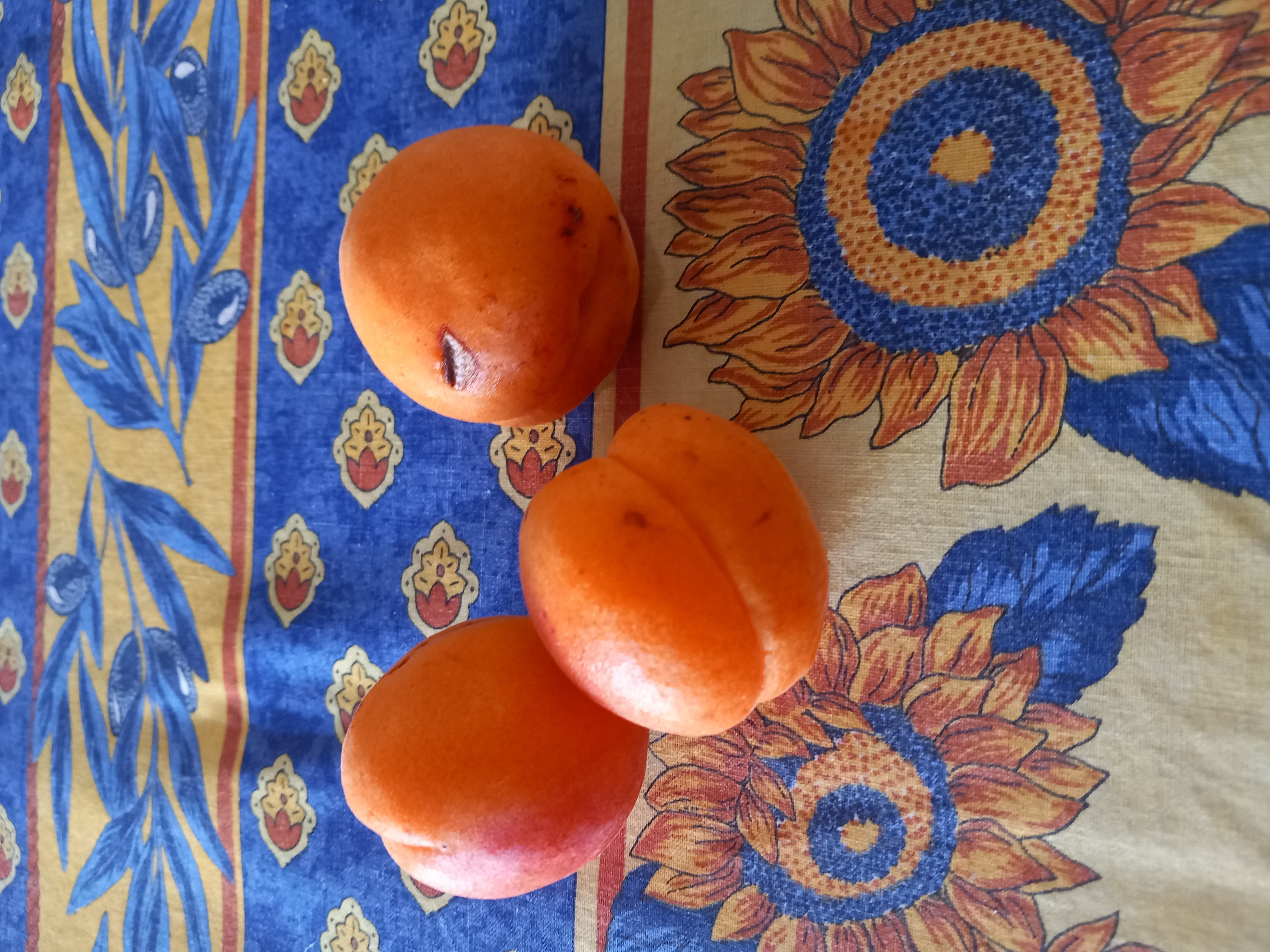 Abricots frais