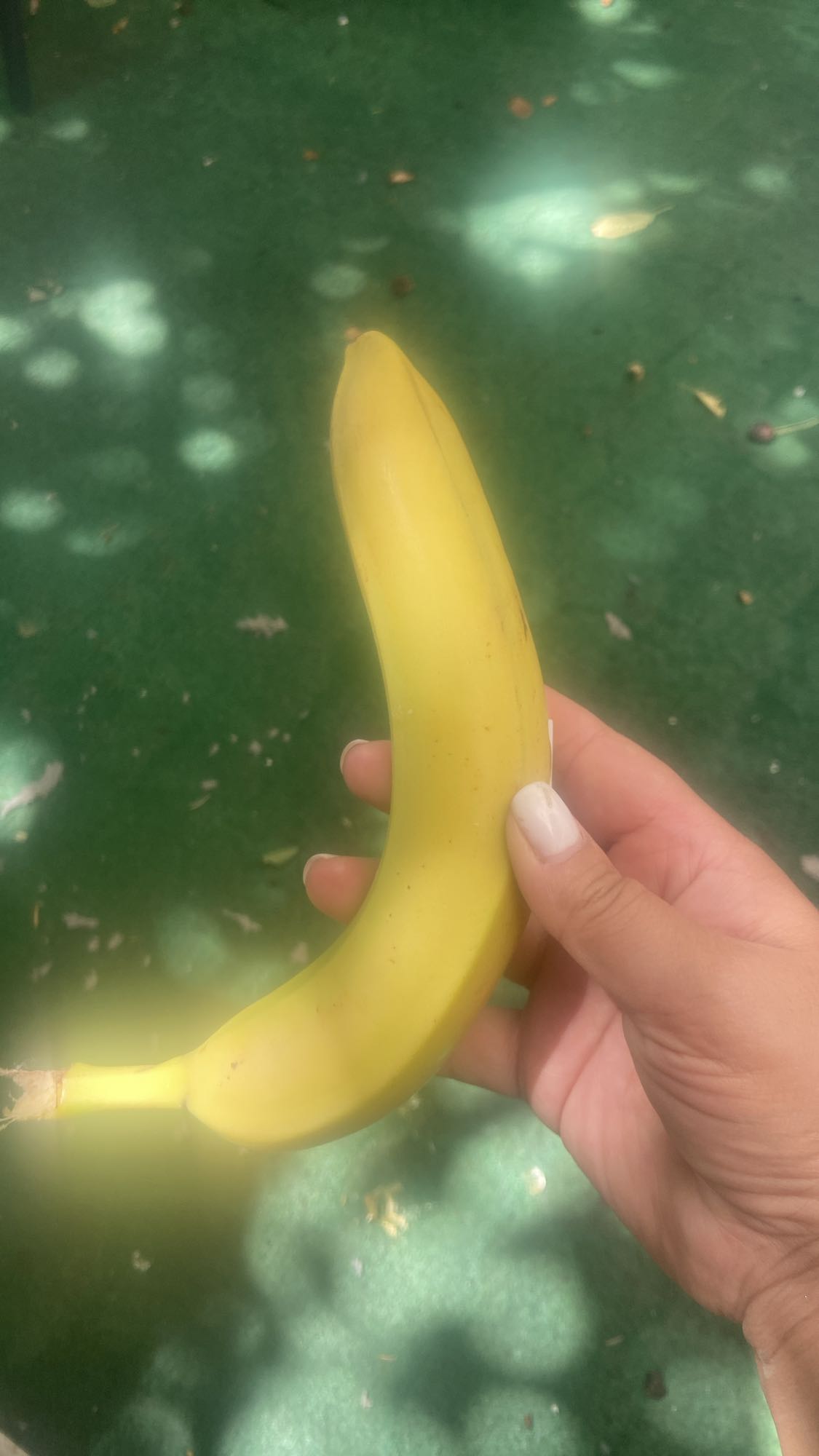 Banana simplă