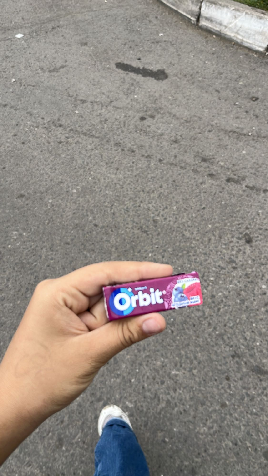 жевательная резинка Orbit