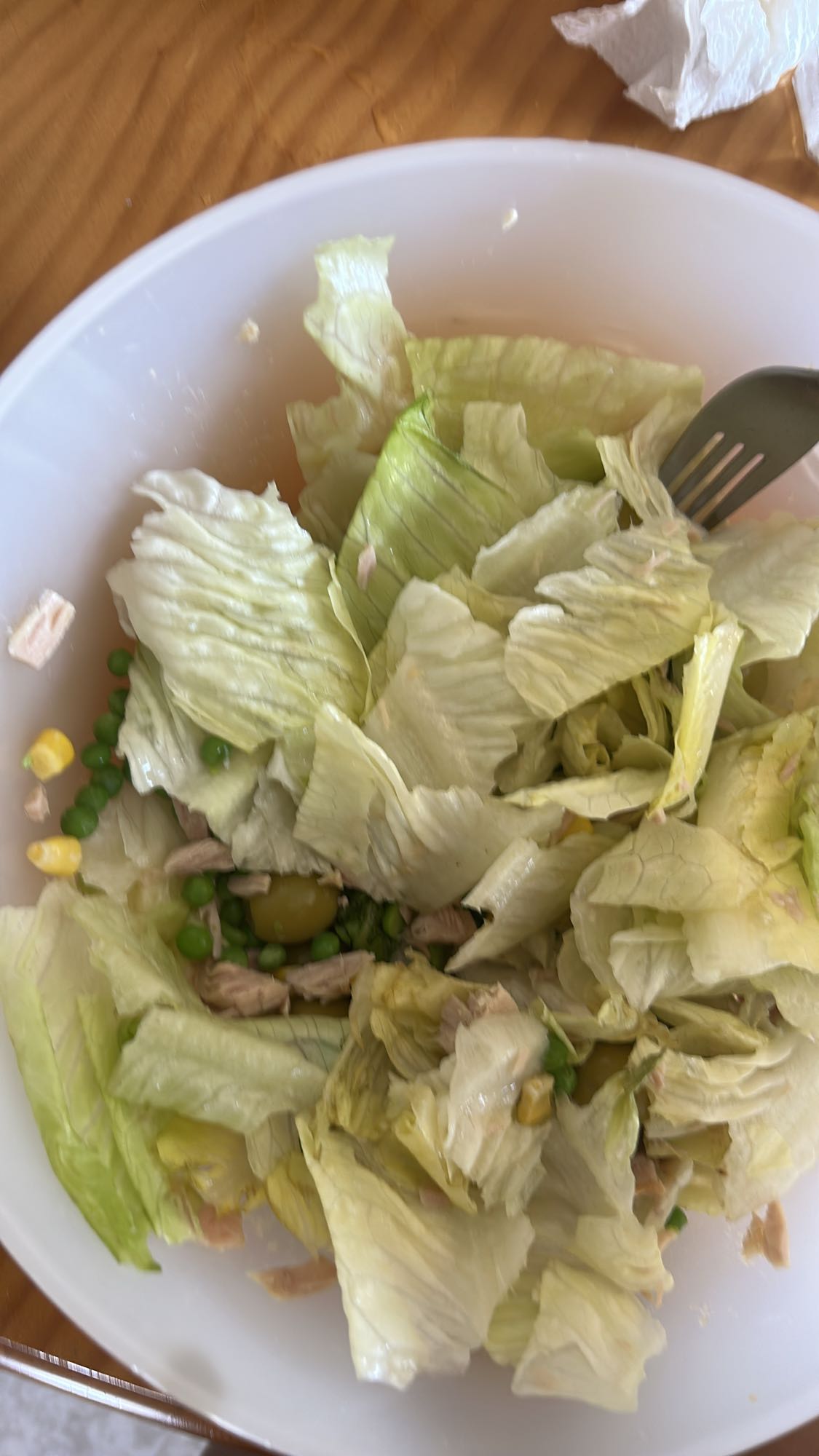 Ensalada de atún y lechuga