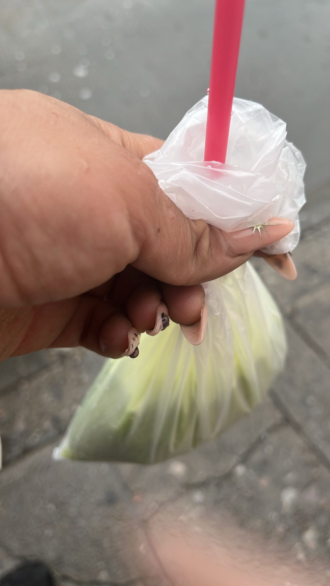 jugo de caña en bolsa
