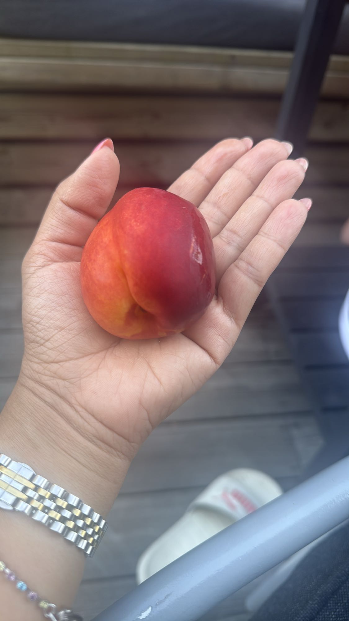 Nektarin i handen