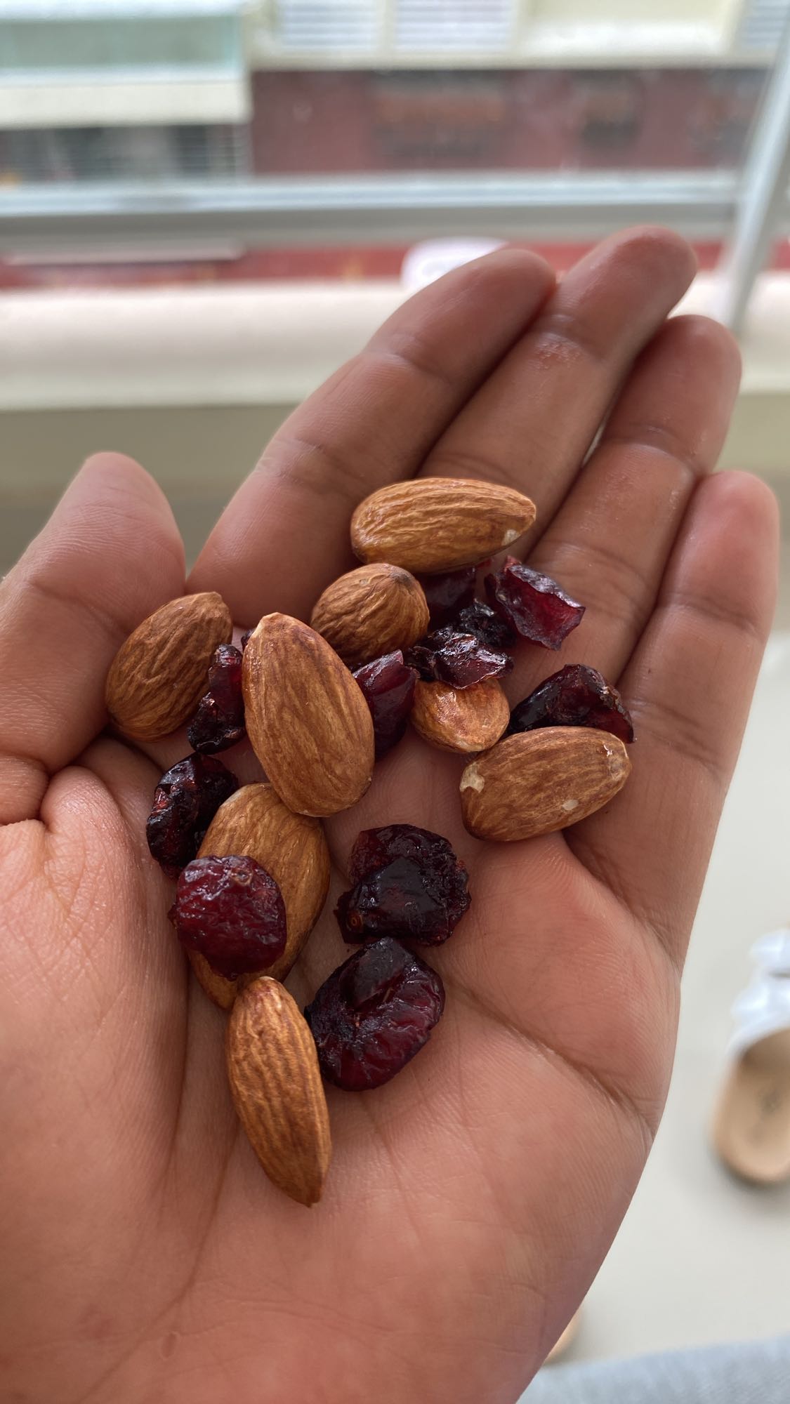 mezcla de almendras y arándanos