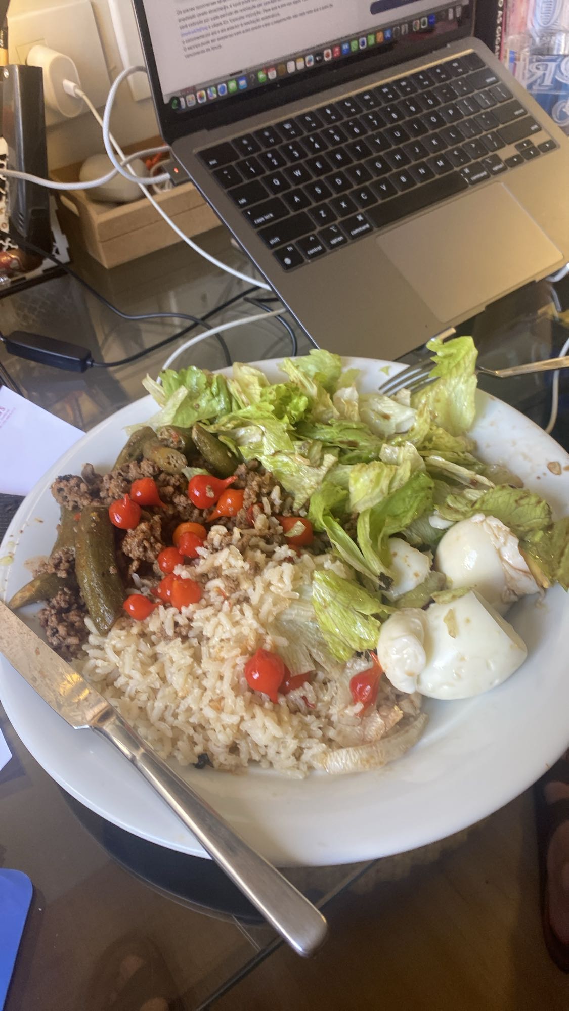 Arroz com carne e salada