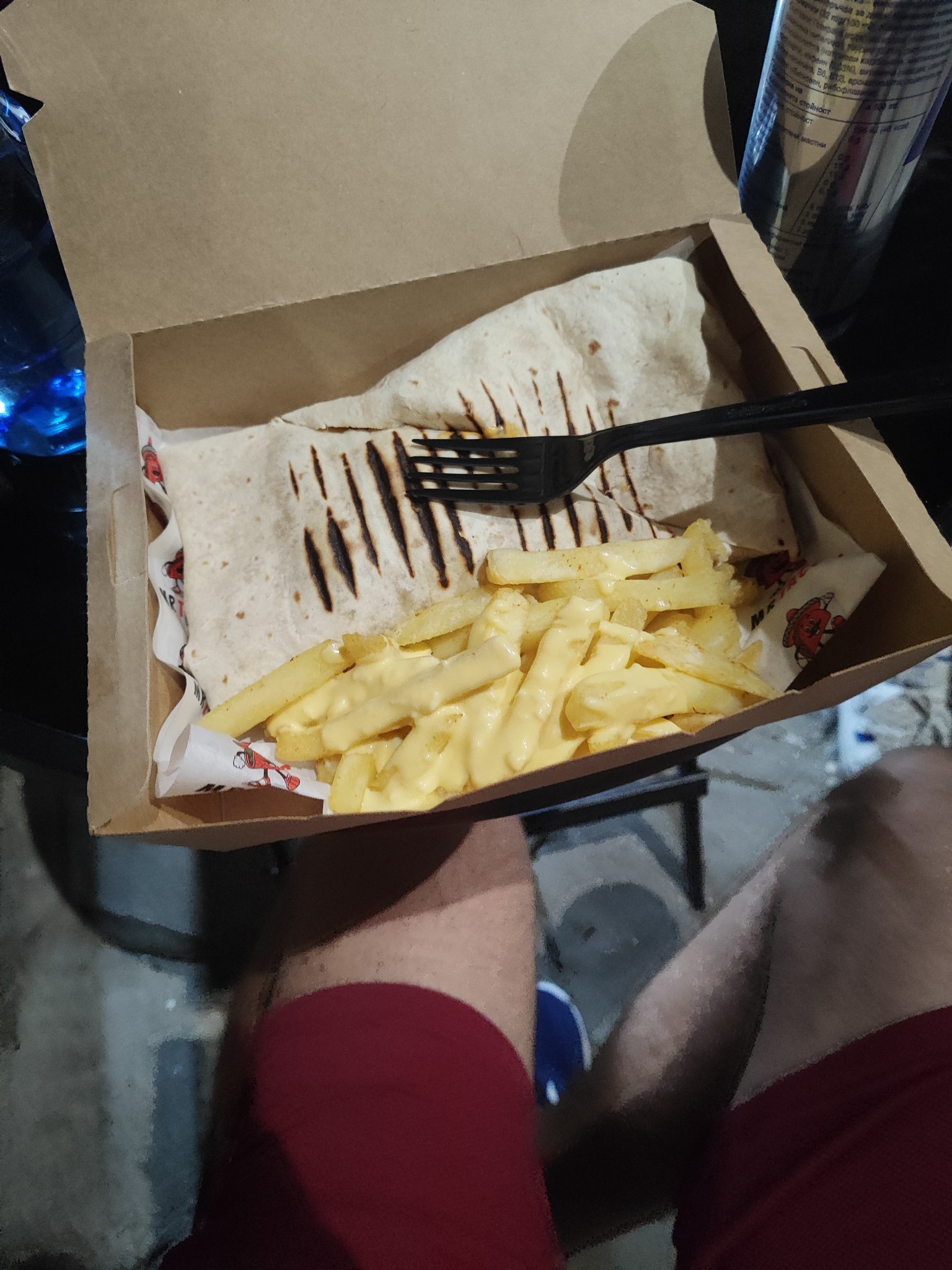 Grilled Wrap with Cheese Fries