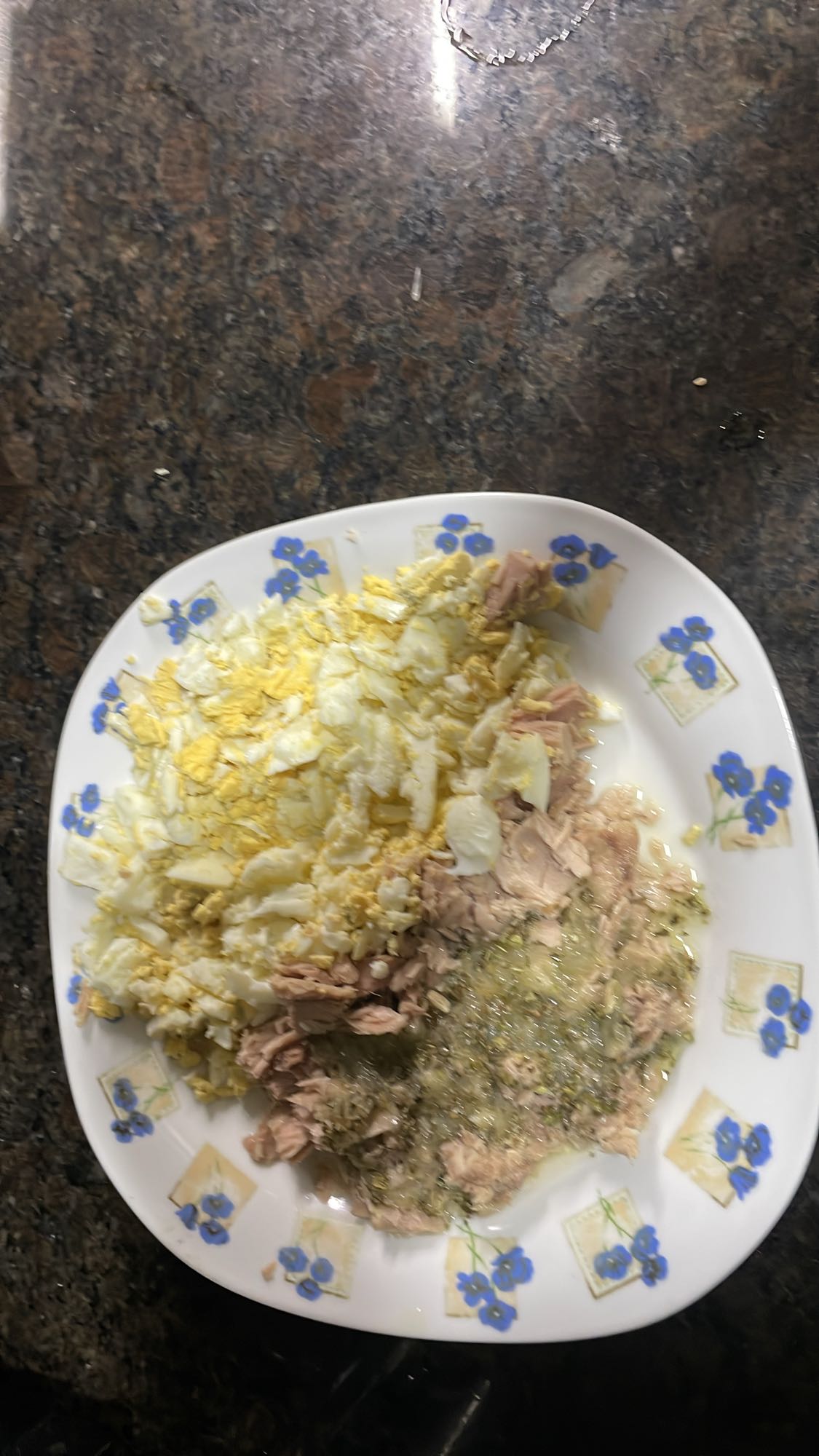 Egg and Tuna Plate
