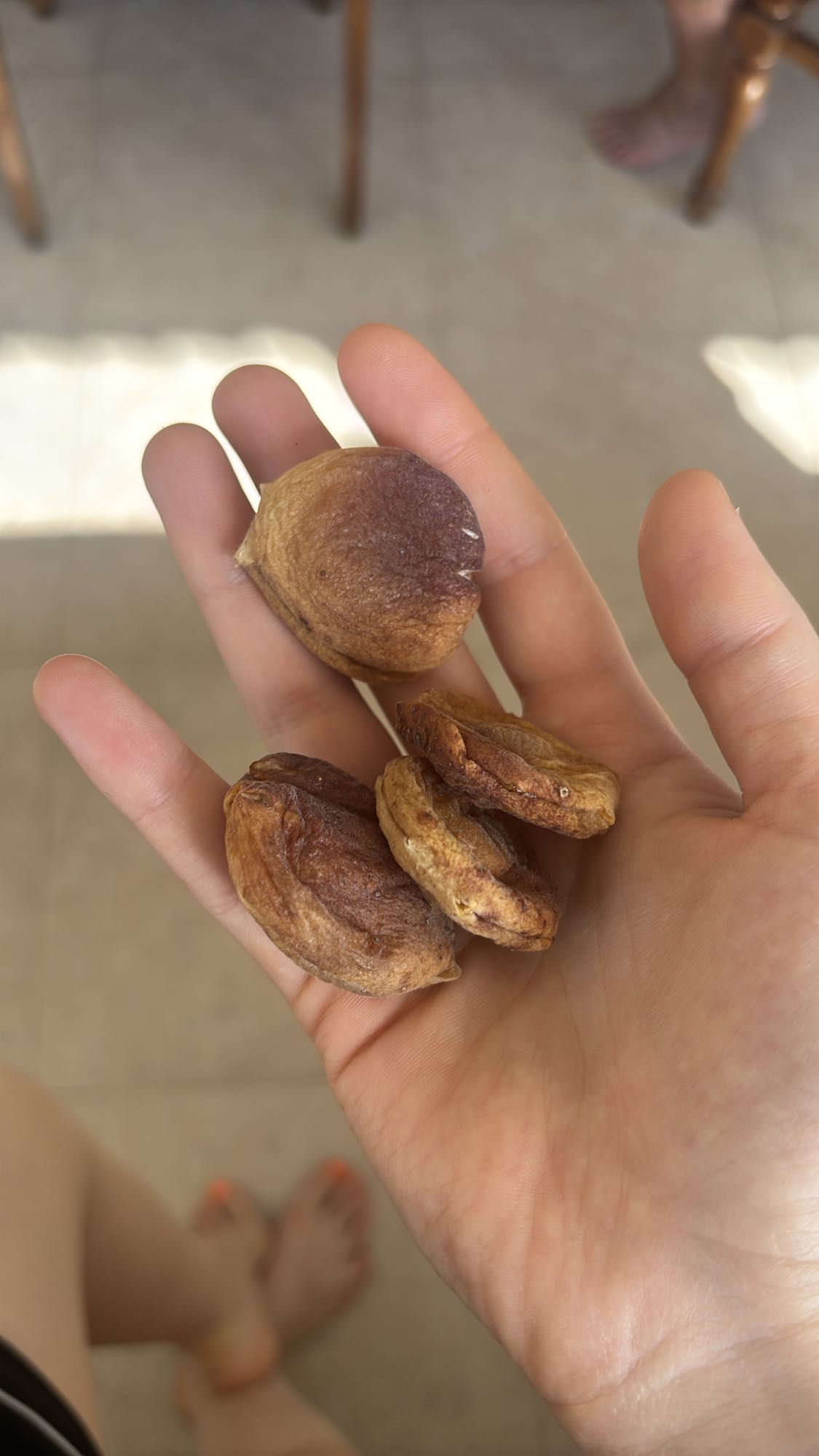 Dried Apricots Snack
