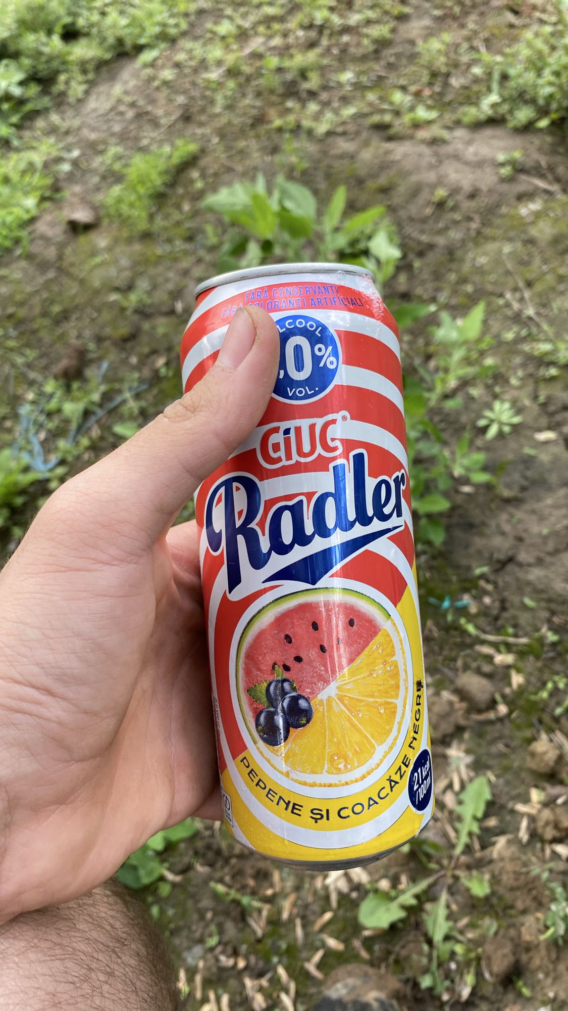 Radler pepene și coacăze