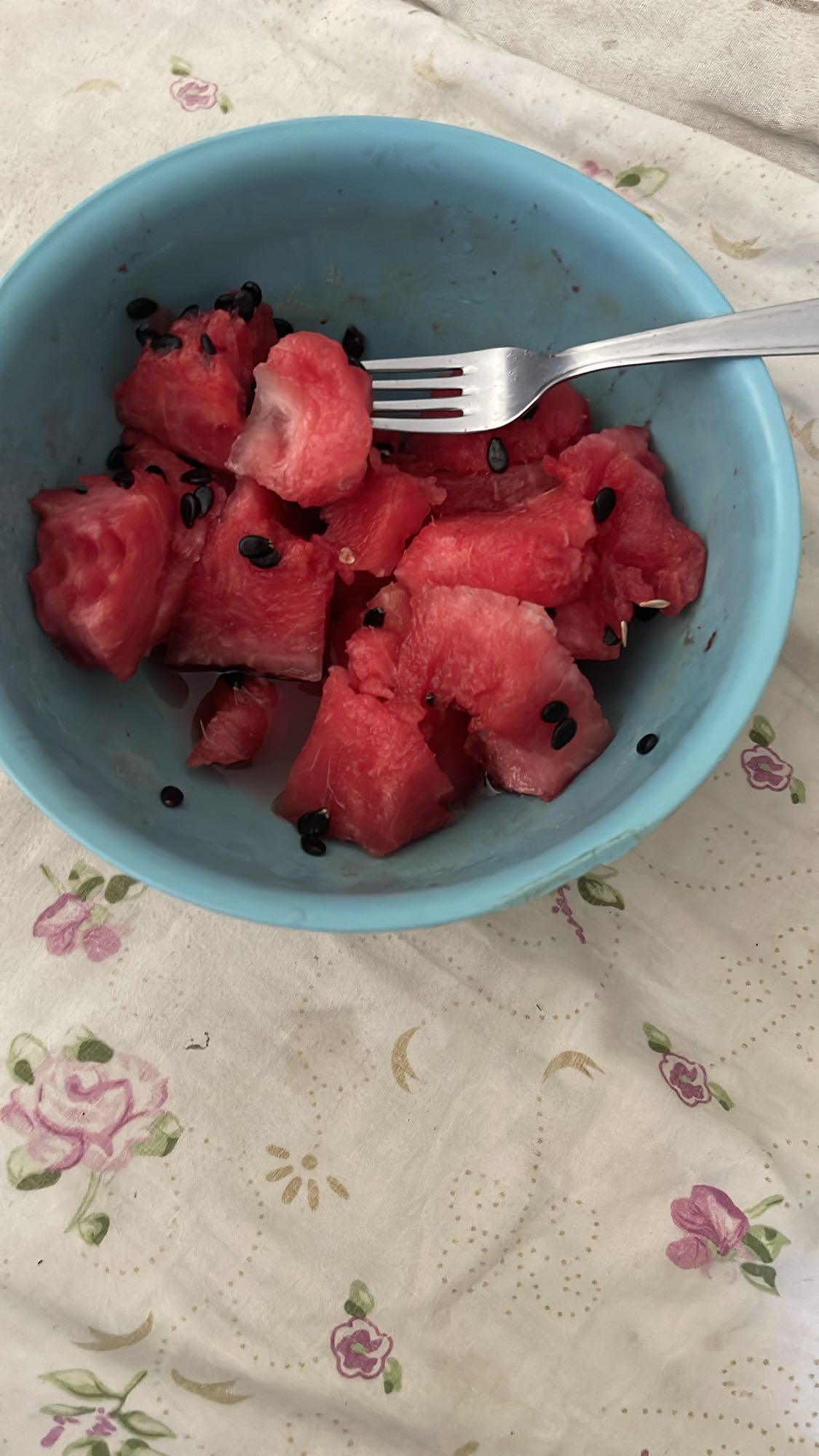 Watermelon Bowl