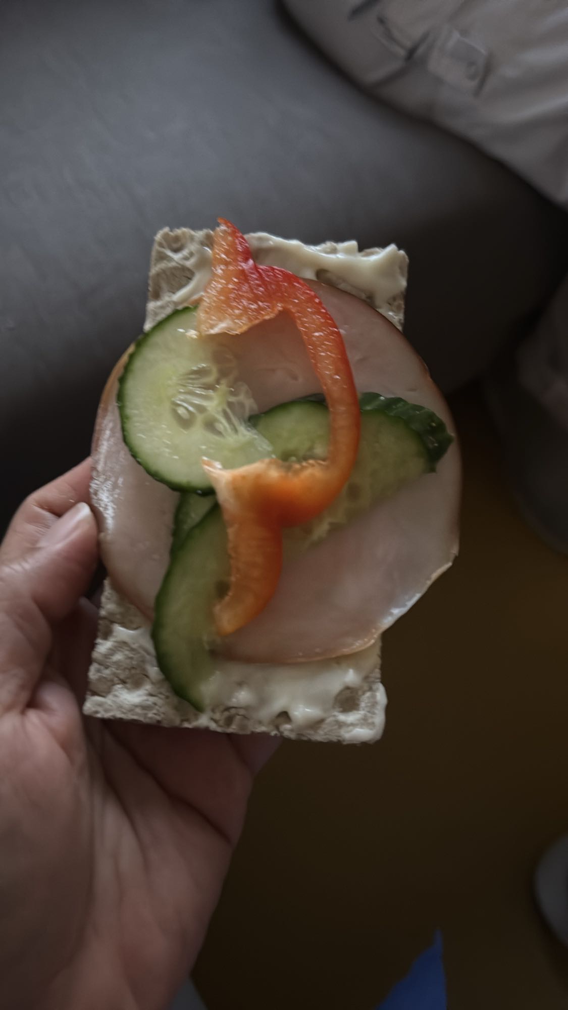 Knäckebröd med kalkon