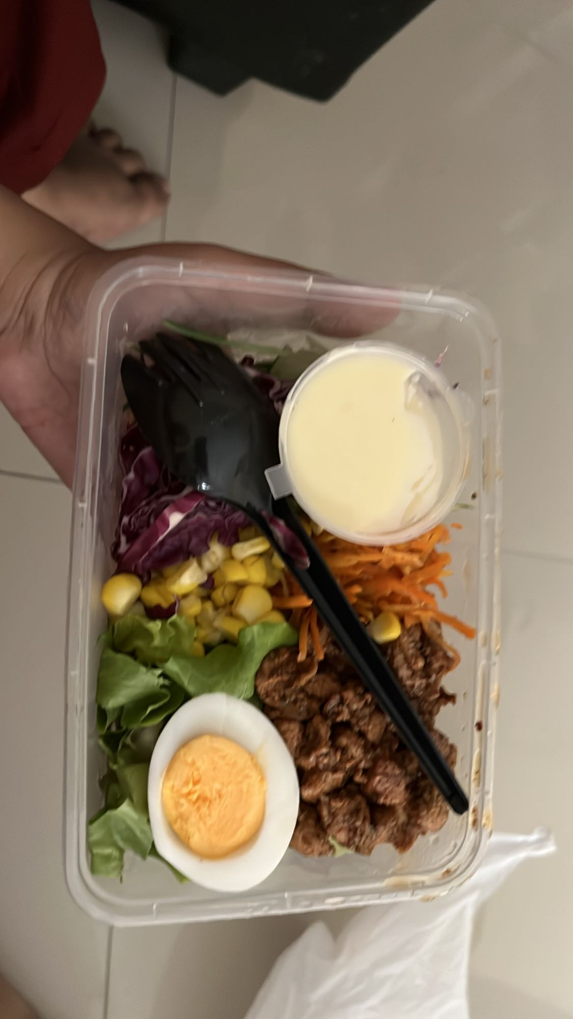 salad telur dan daging