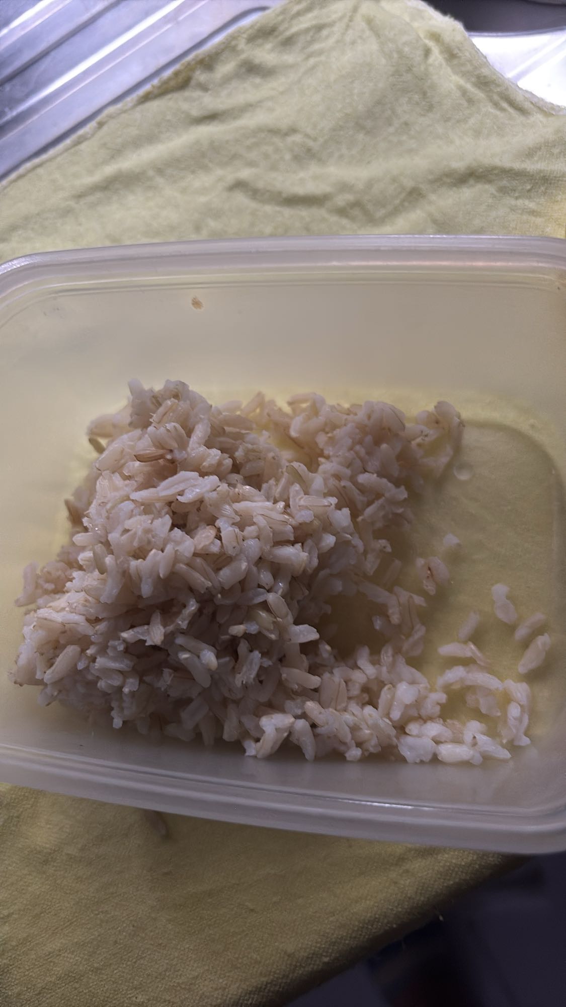 Plain Brown Rice