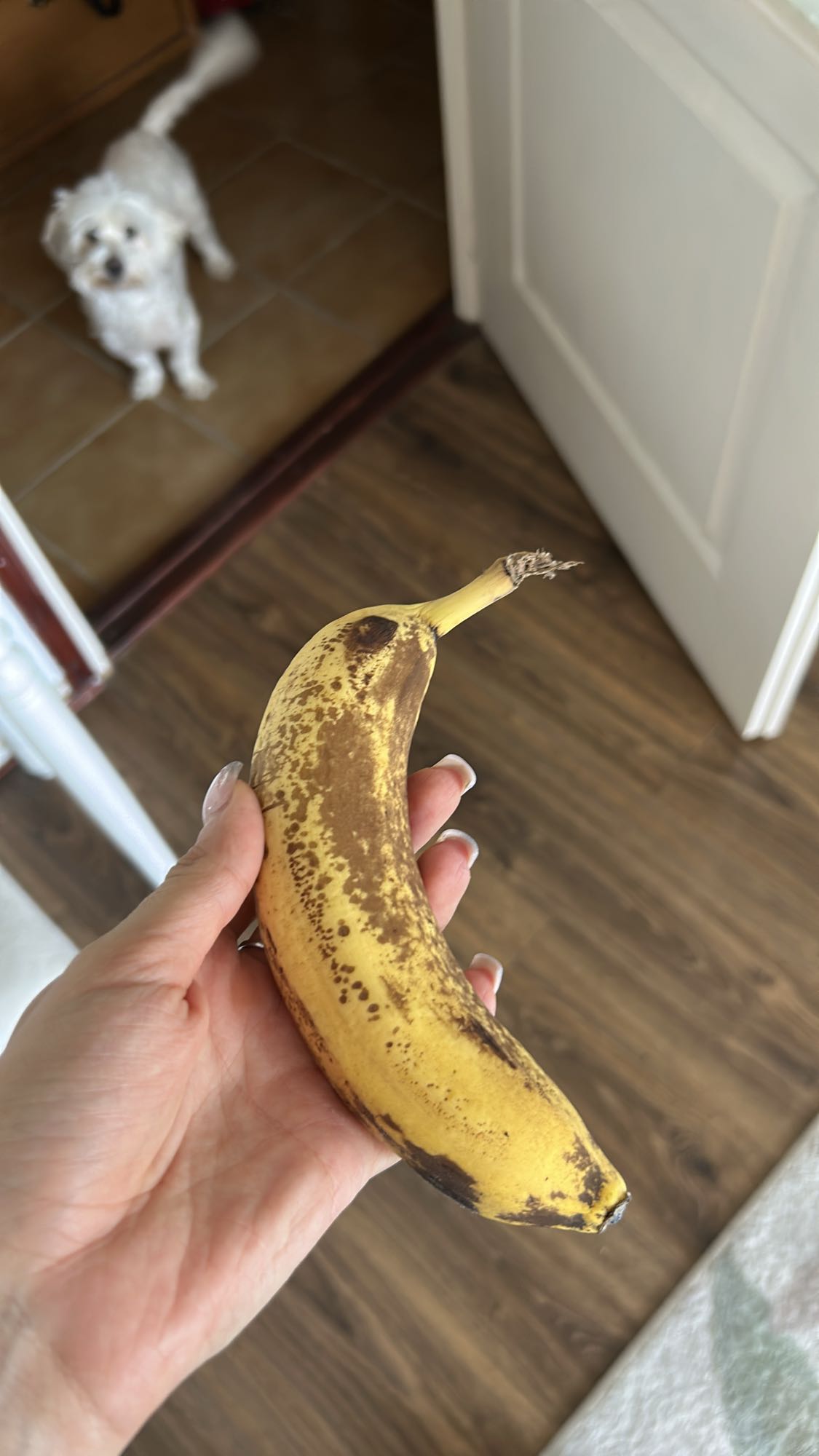 Banana simplă