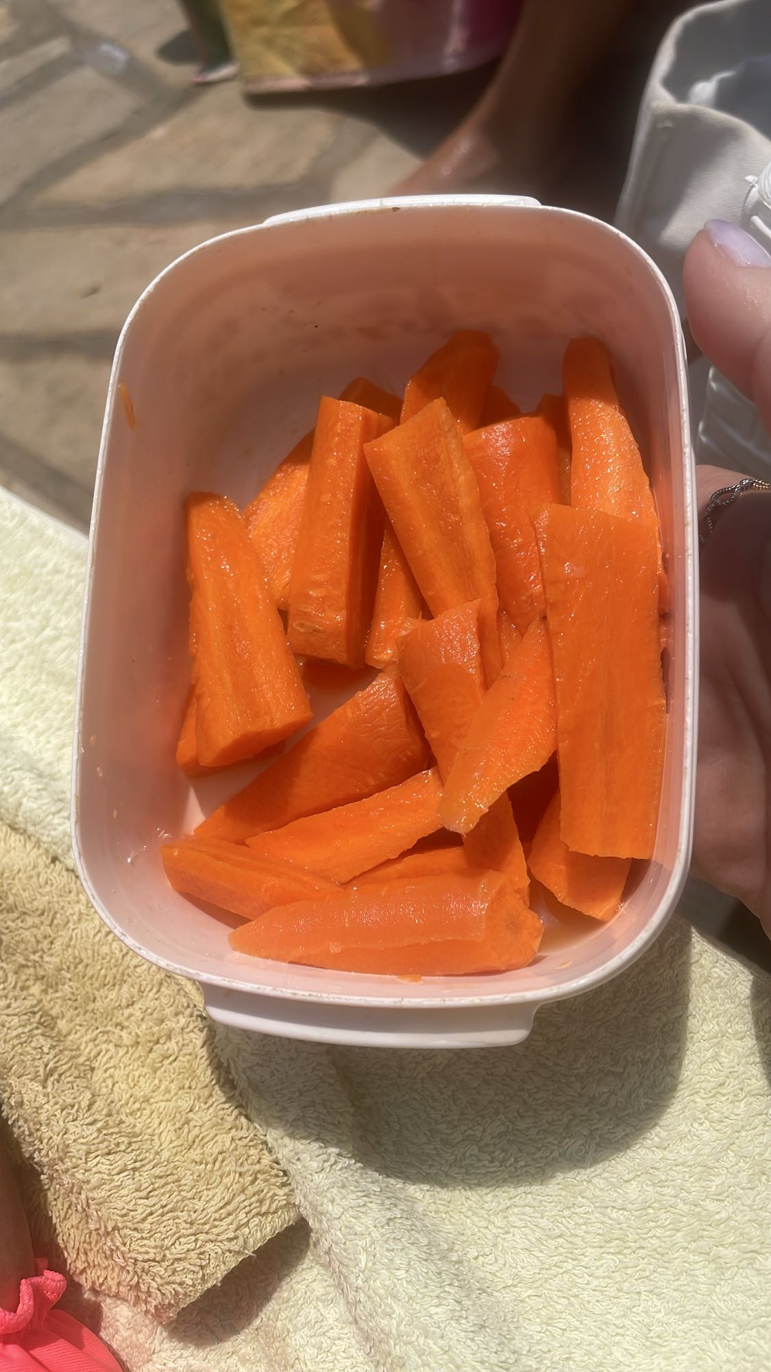 Raw Carrot Sticks