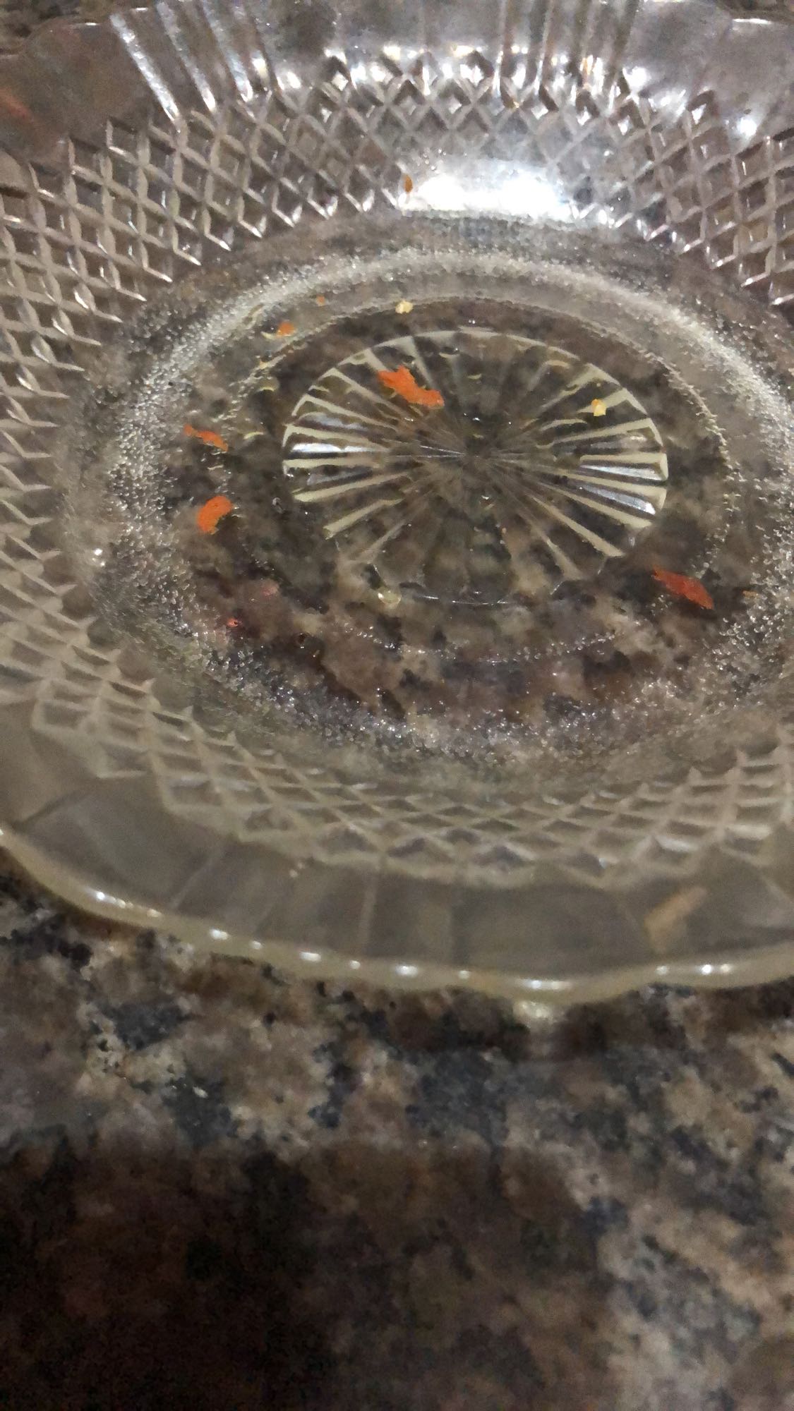 resíduos de refeição