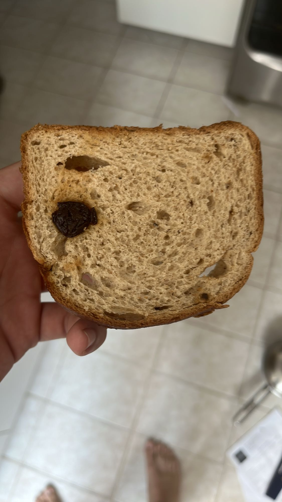 Pão integral com uva passa