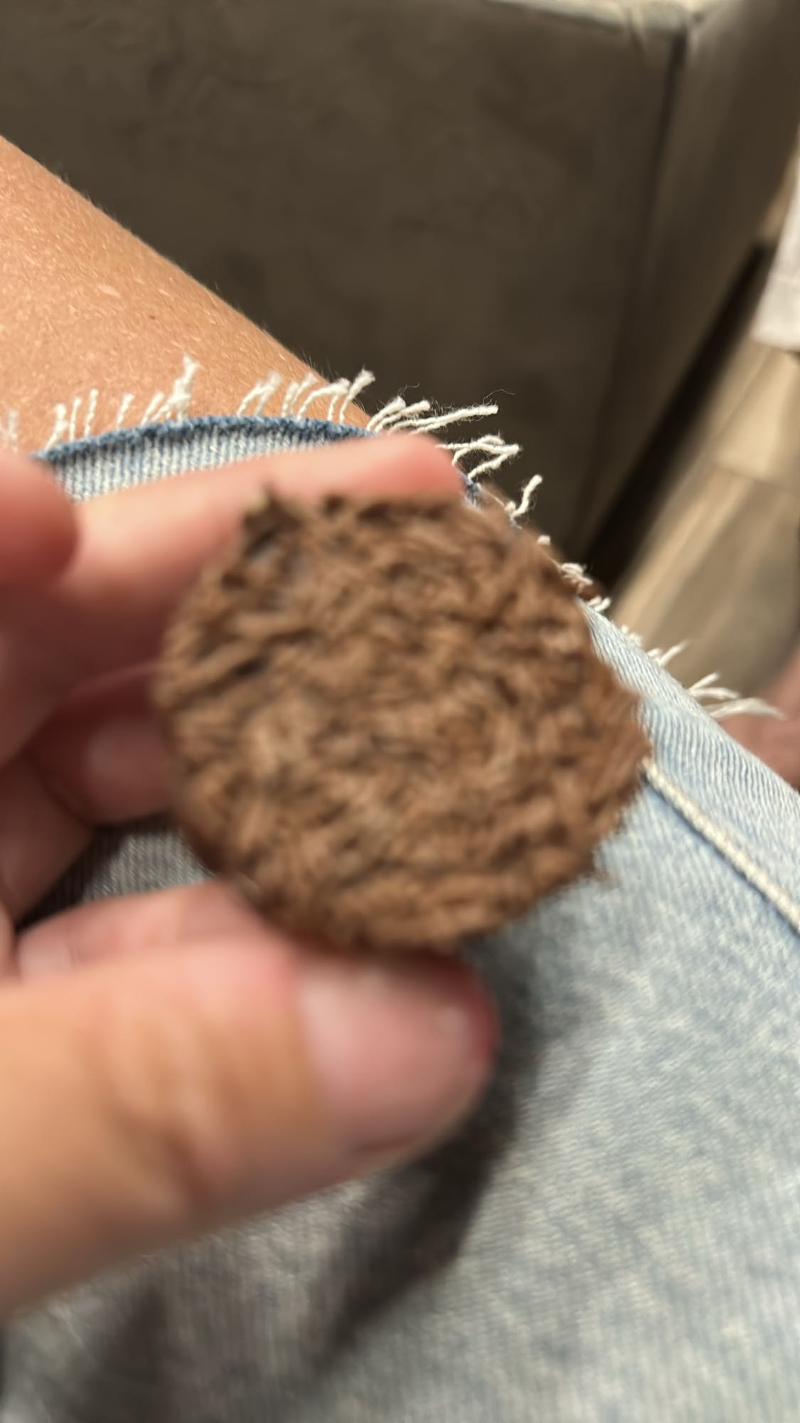 Wheat cereal biscuit