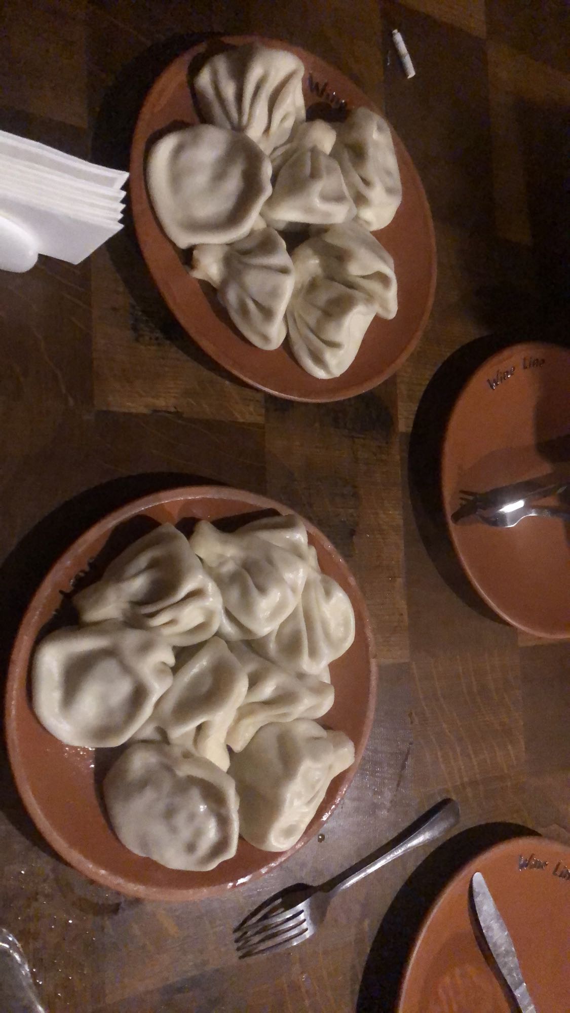 Meat Dumplings