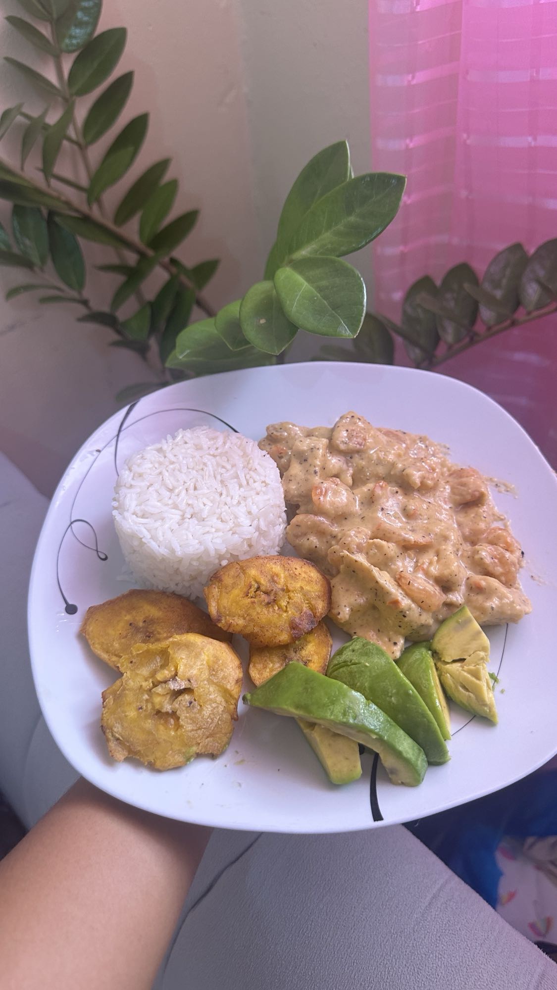 Pollo en salsa con arroz y plátano