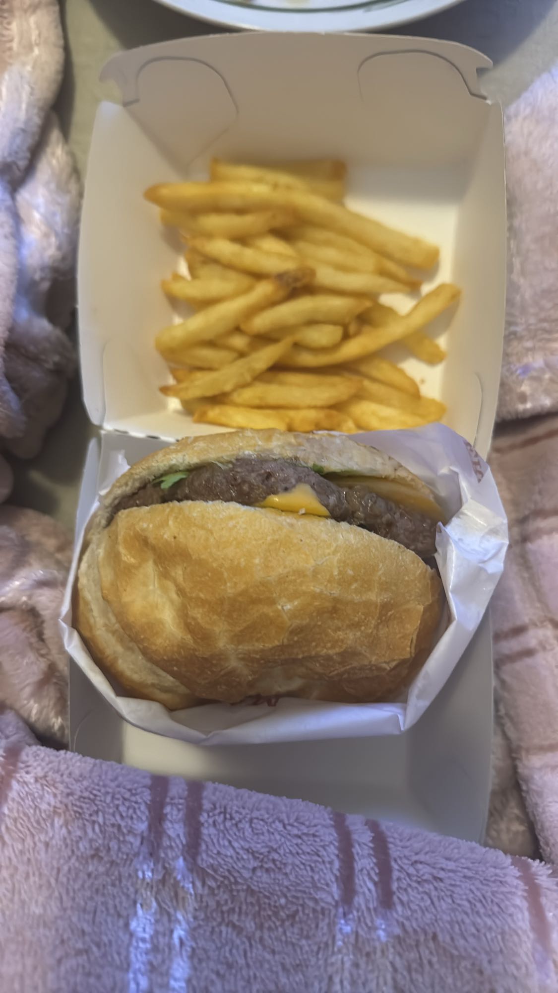 Hambúrguer com batatas fritas