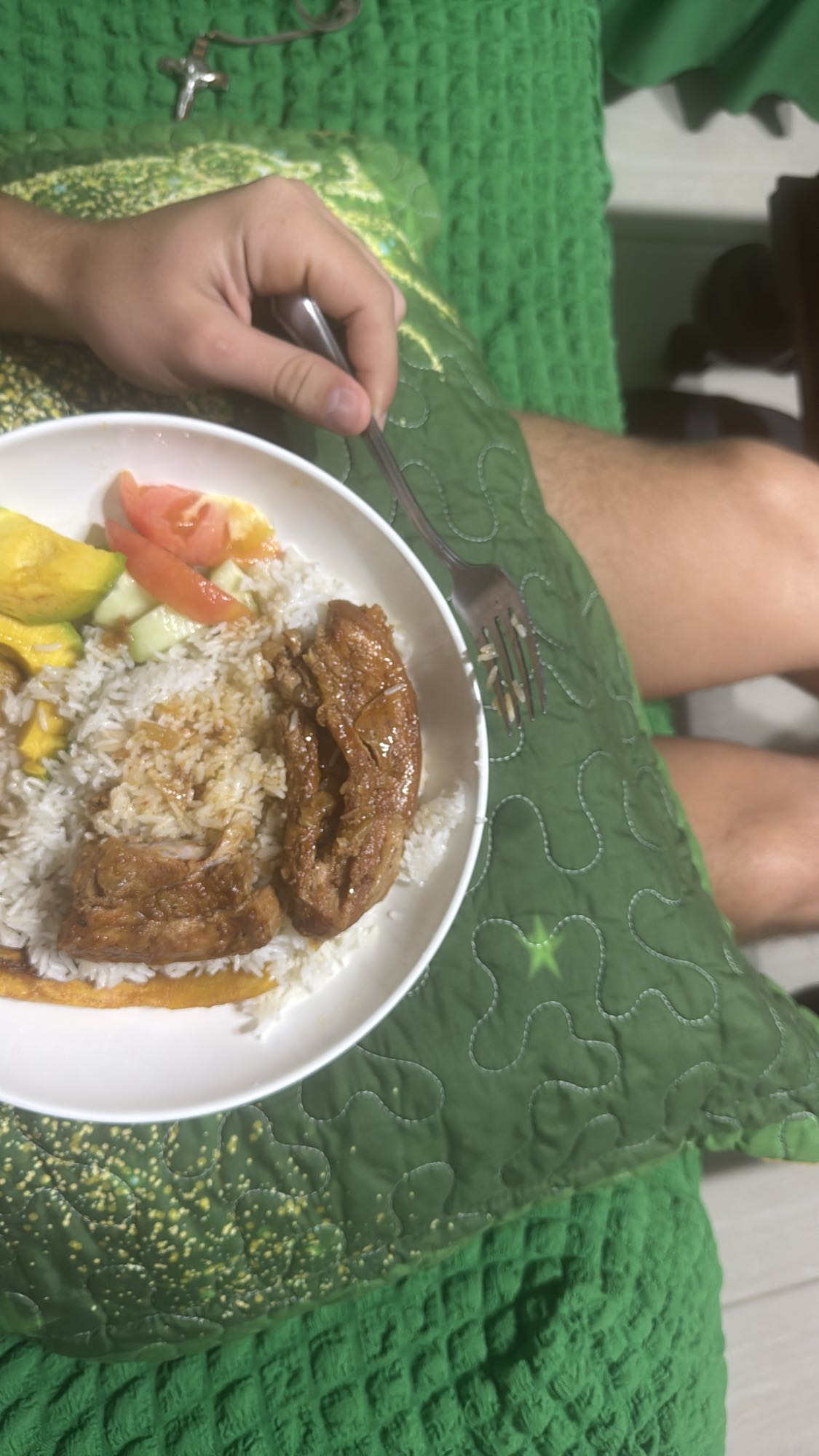 cerdo con arroz y vegetales