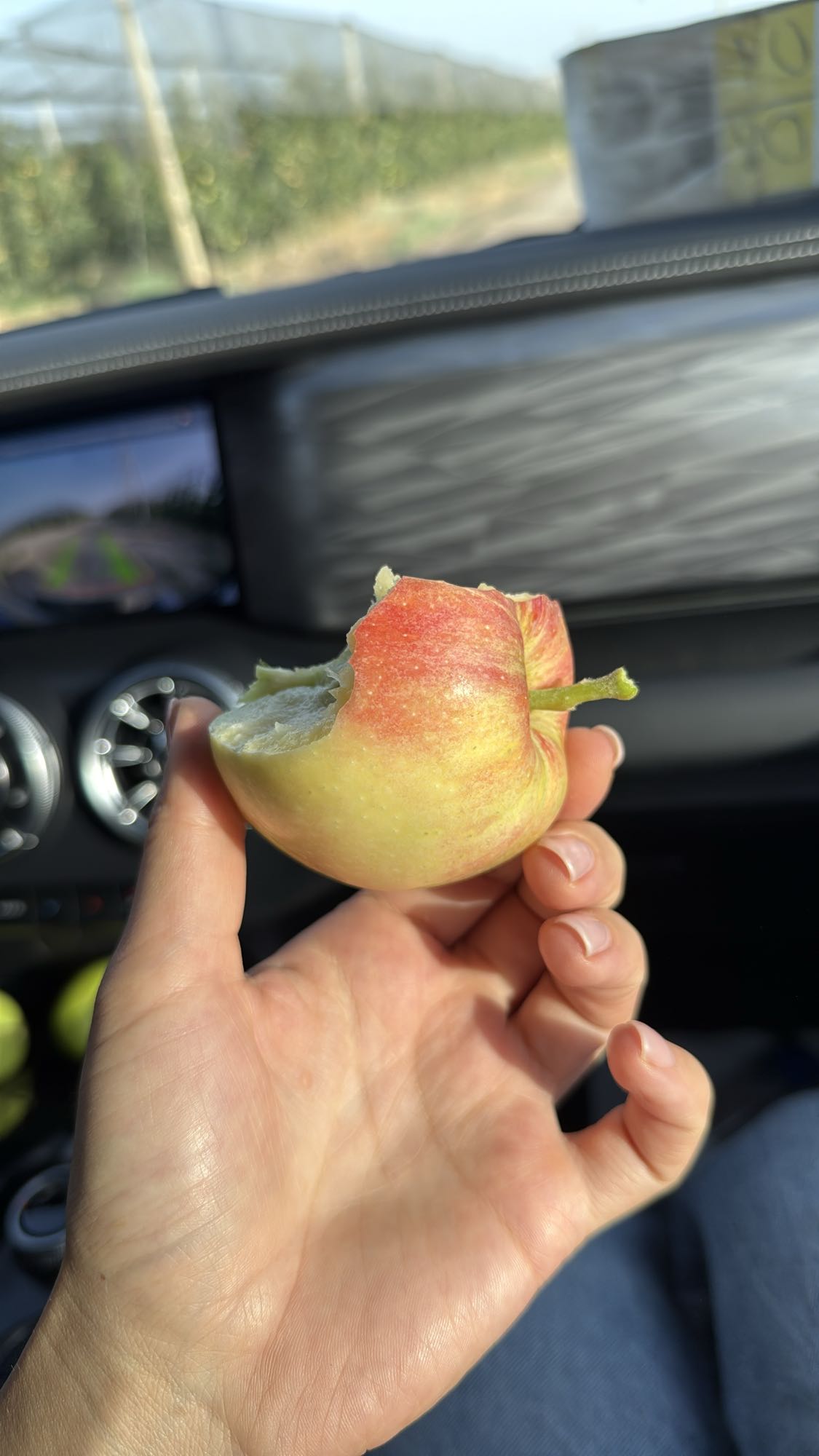 укус яблока