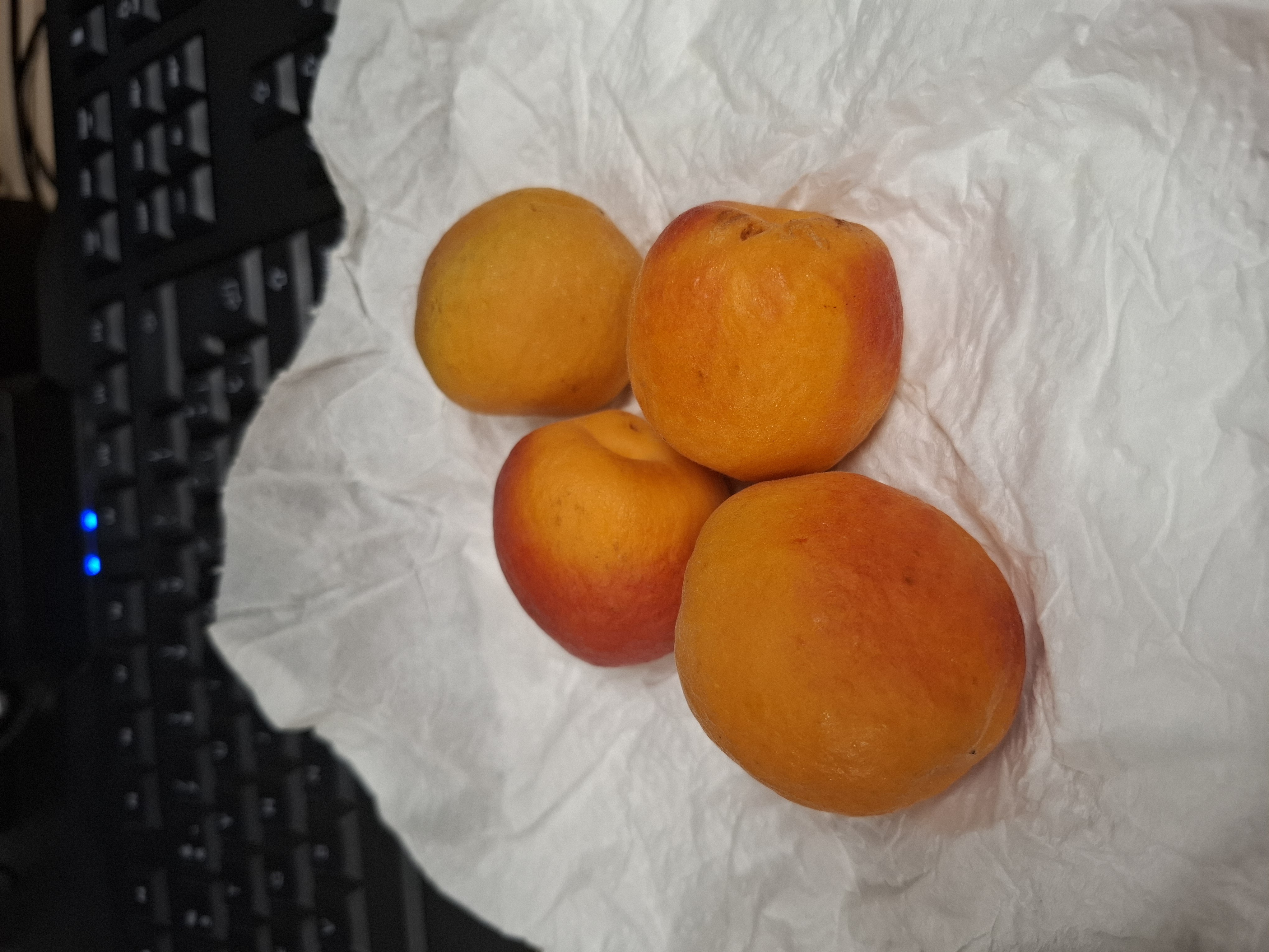 Albaricoques frescos