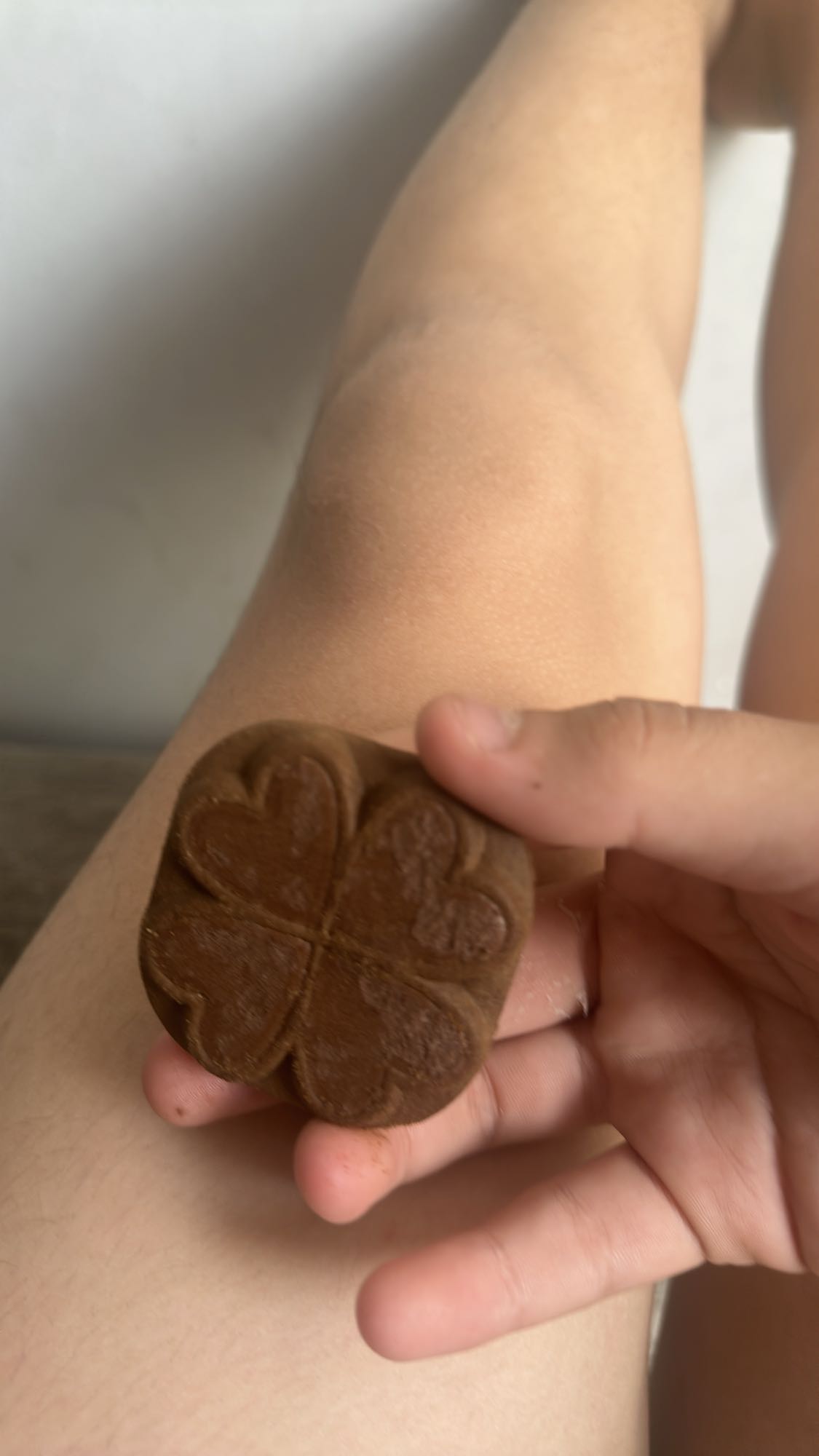 шоколадное печенье