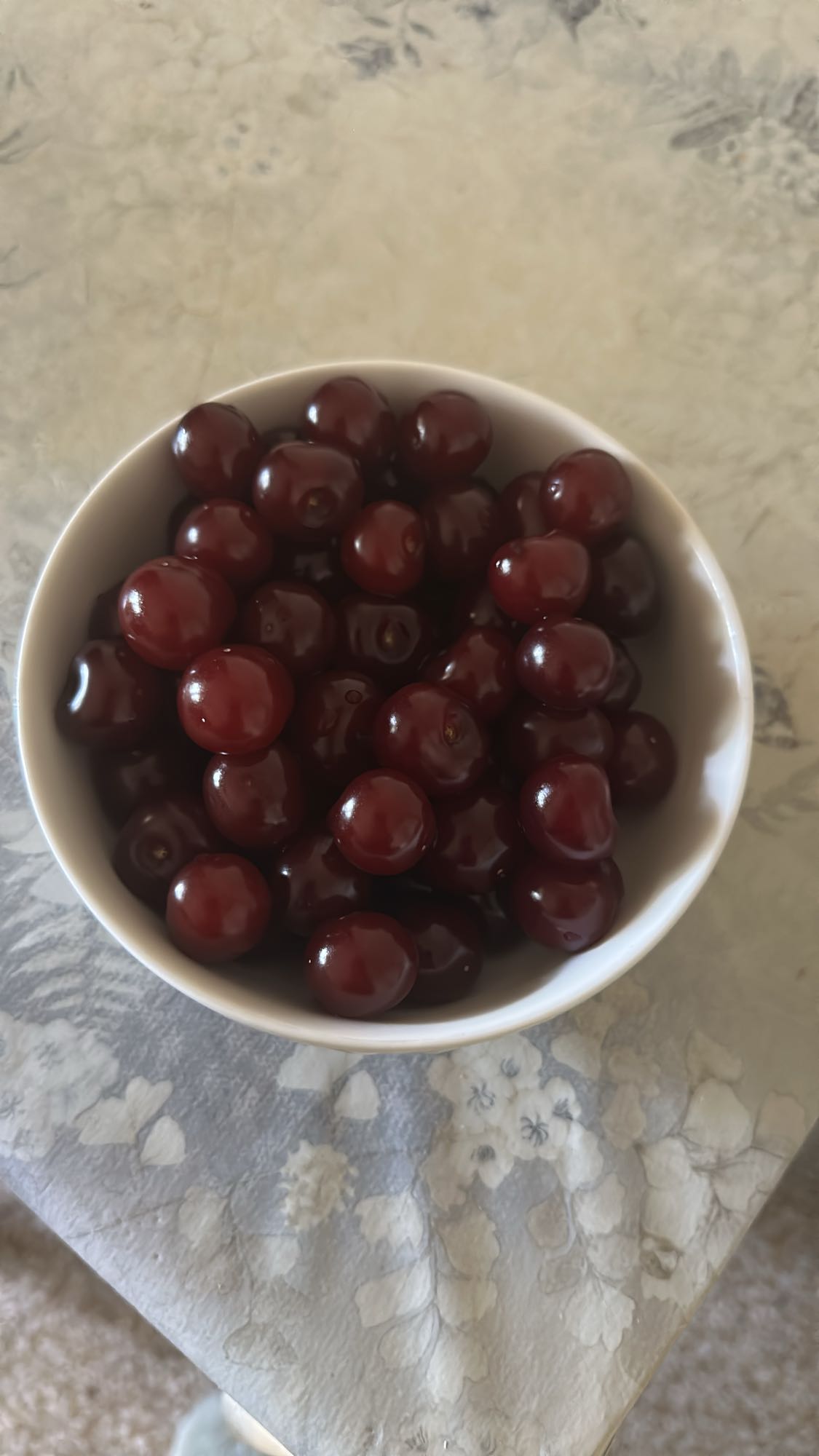 Bowl of Cherries