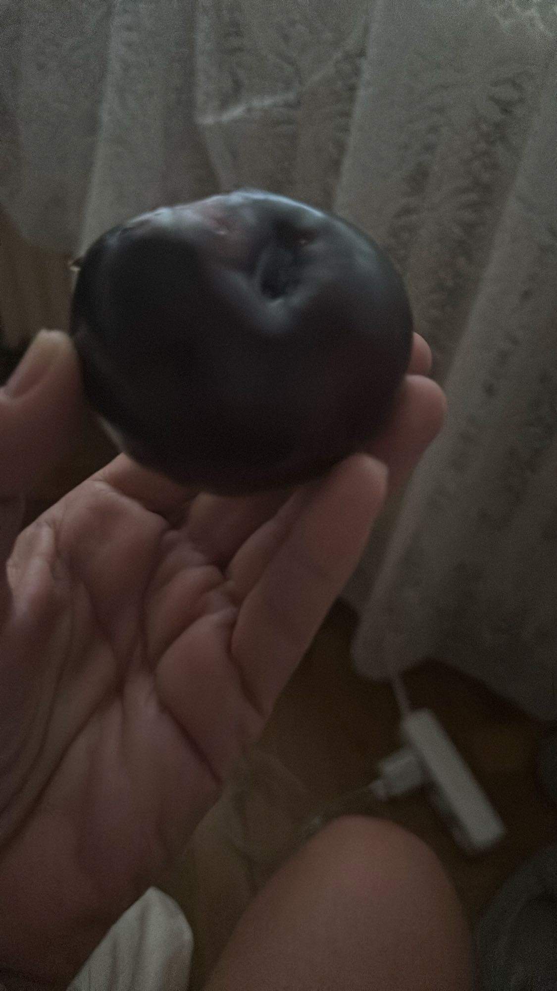 Black Plum Snack