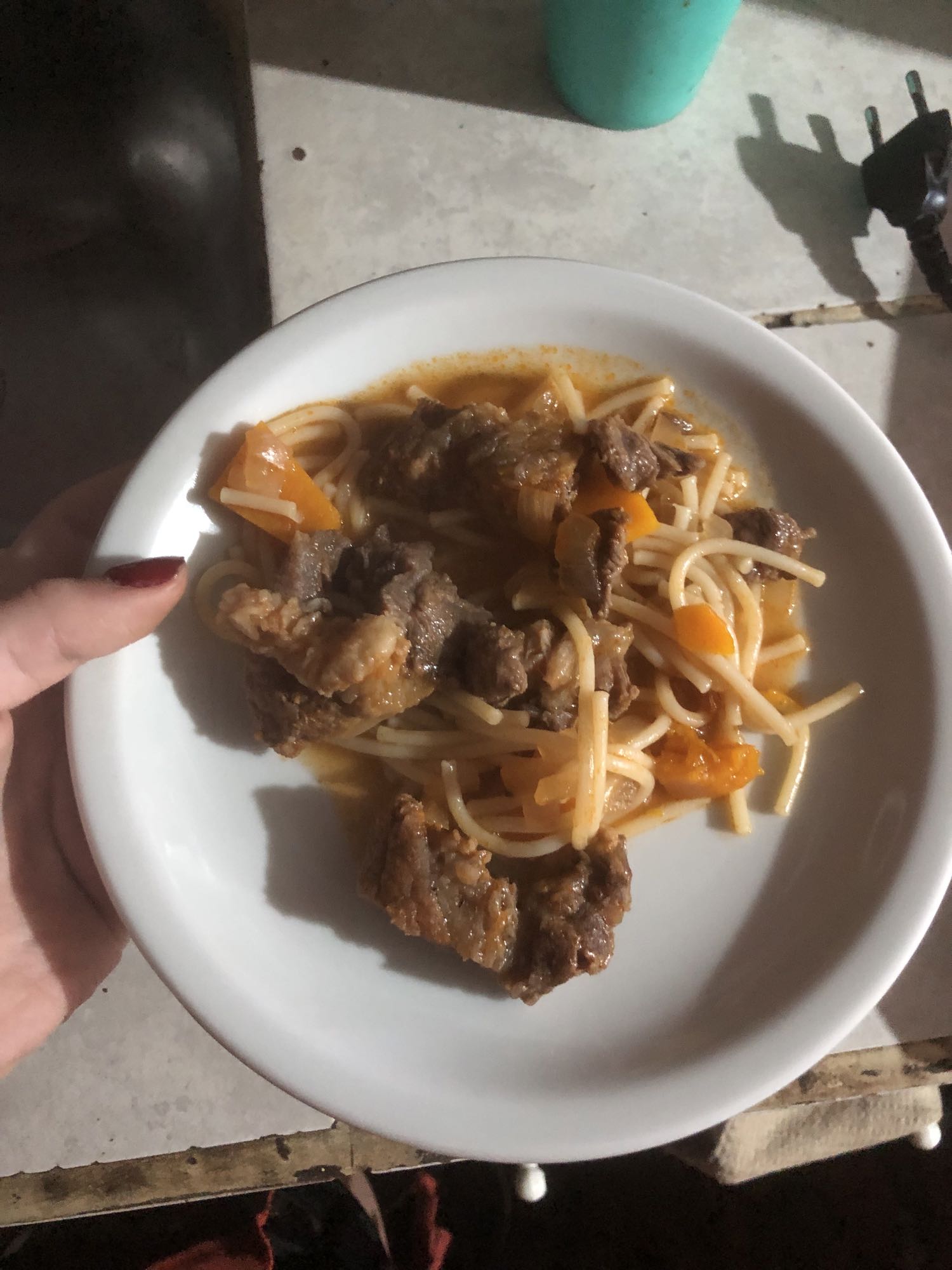 Espaguetis con carne