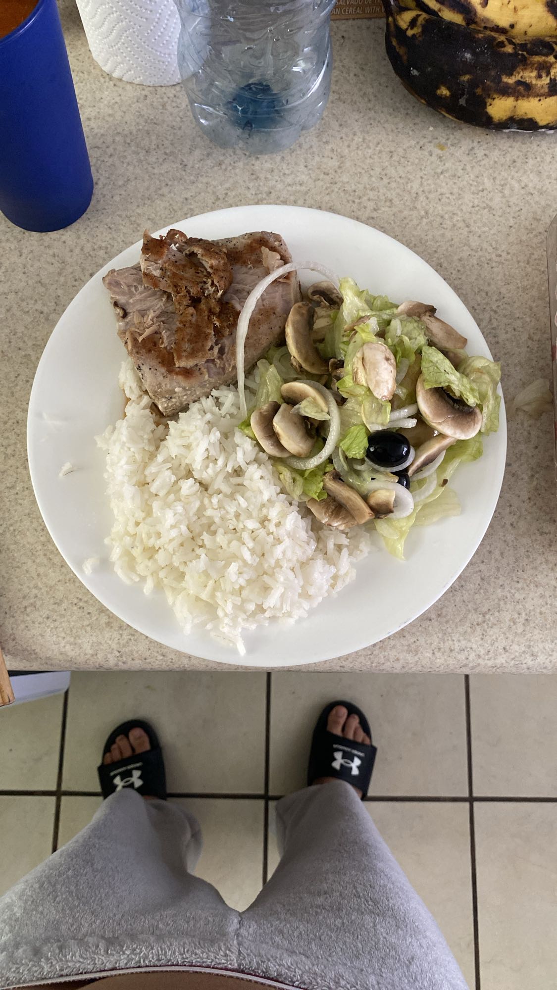 Cerdo con arroz y ensalada