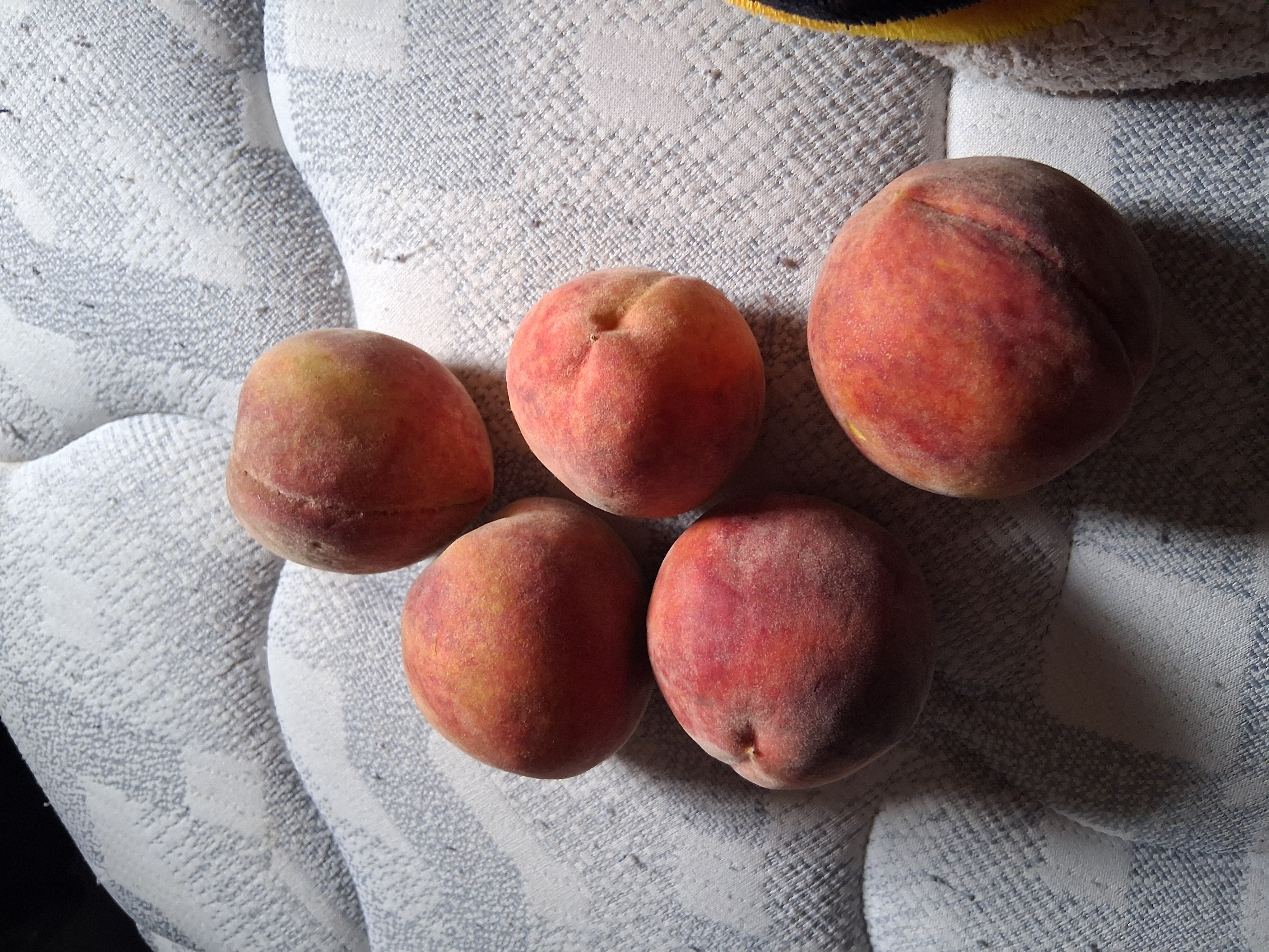 Cinco duraznos frescos