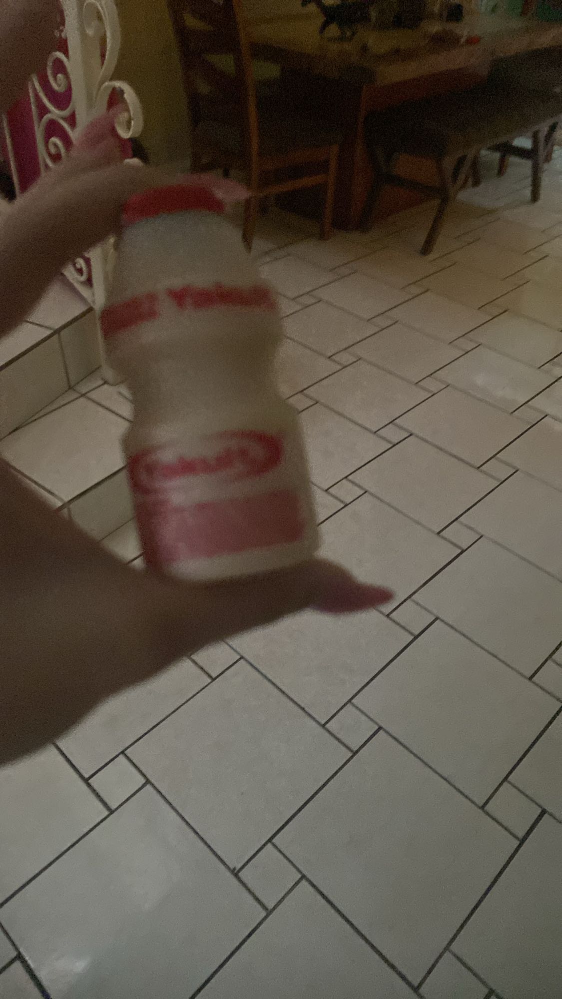 bebida probiótica Yakult