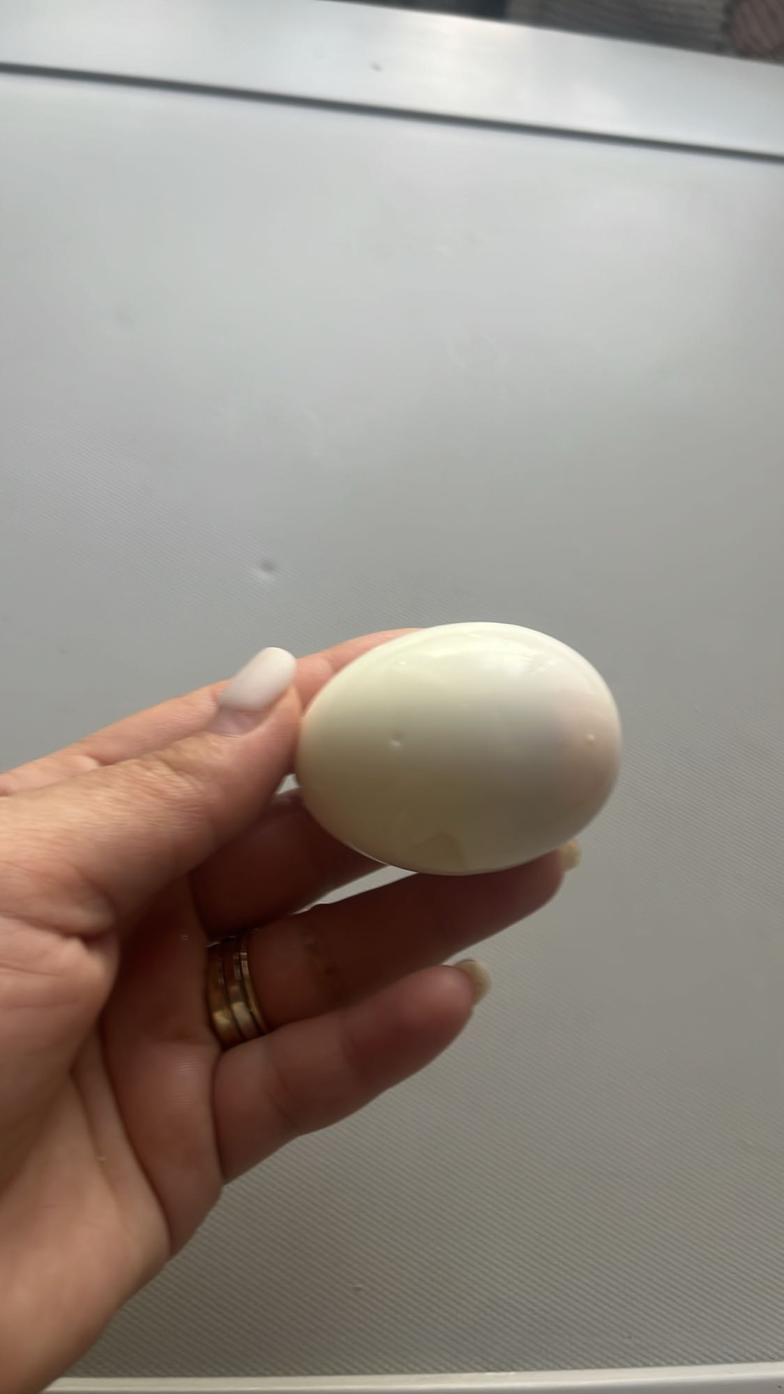 варёное яйцо