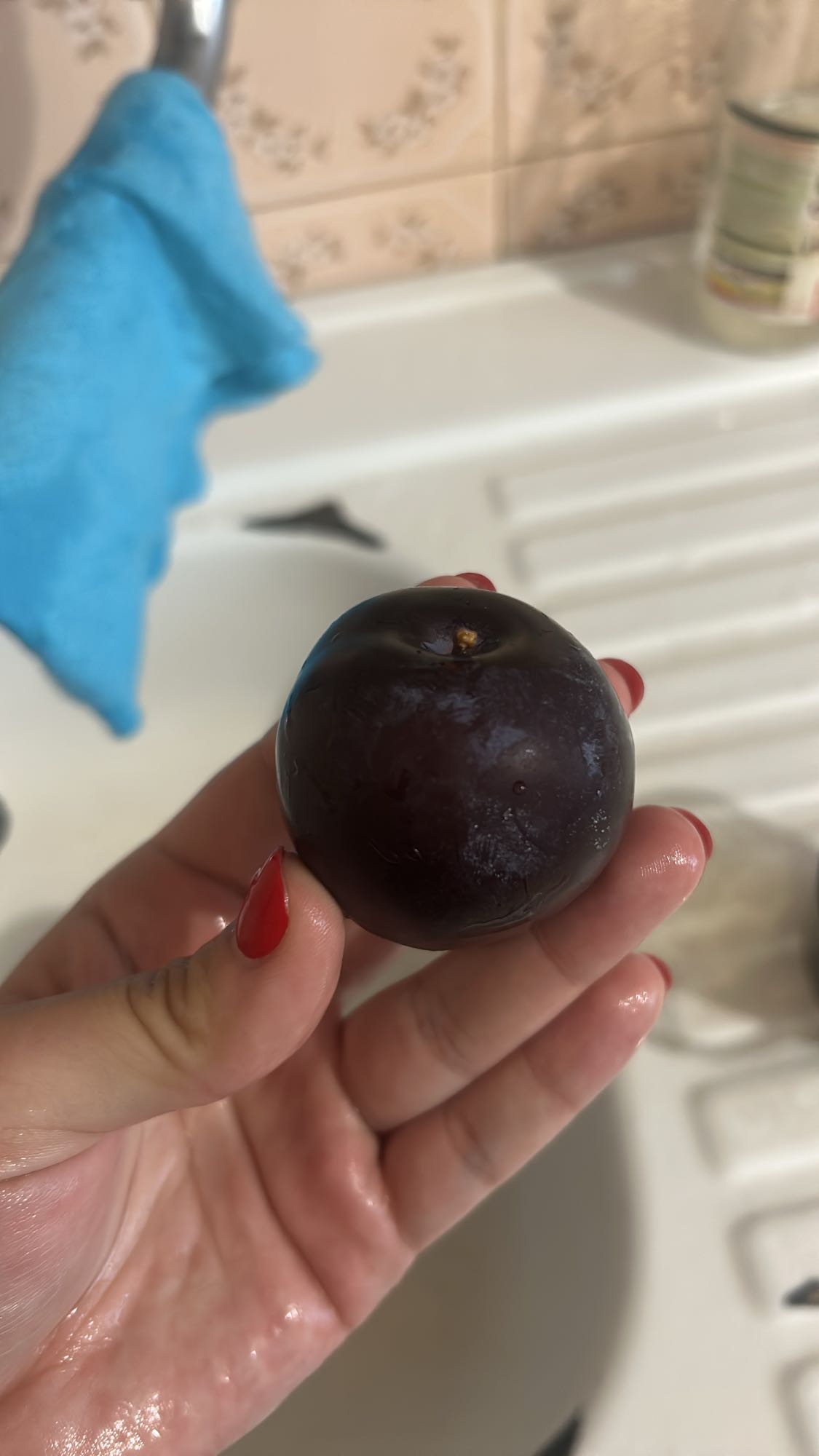 Fresh Plum Snack