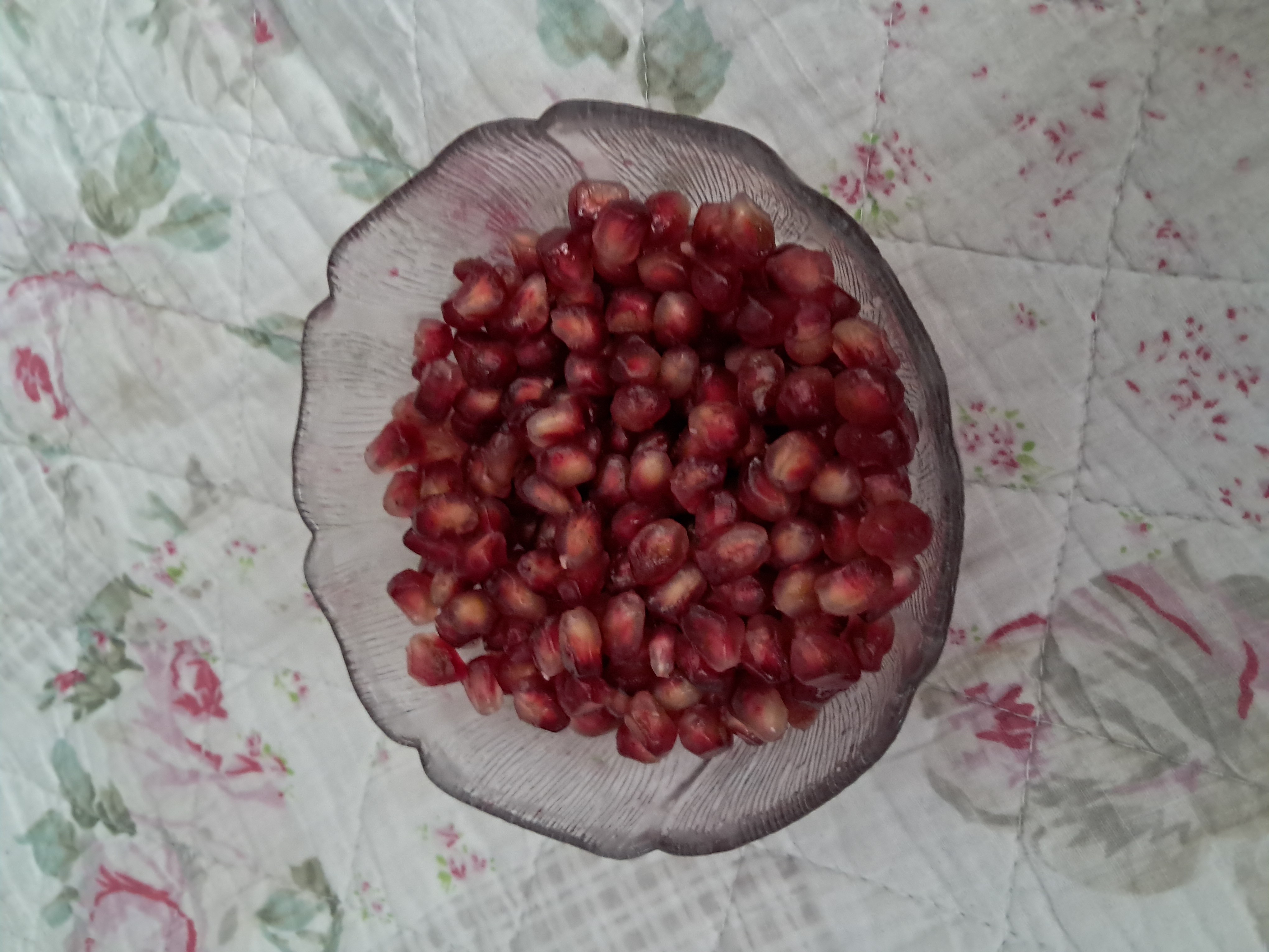 Pomegranate Seeds Bowl