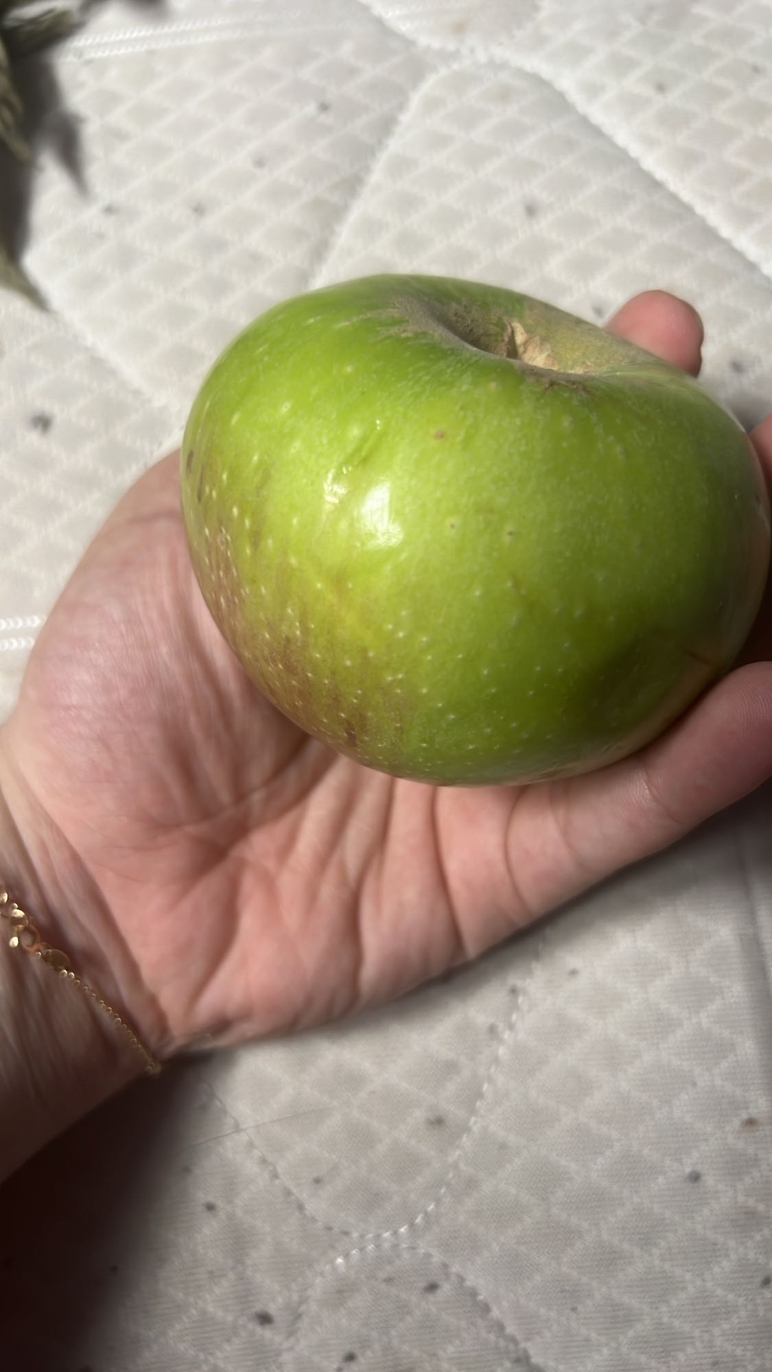 Green Apple Snack